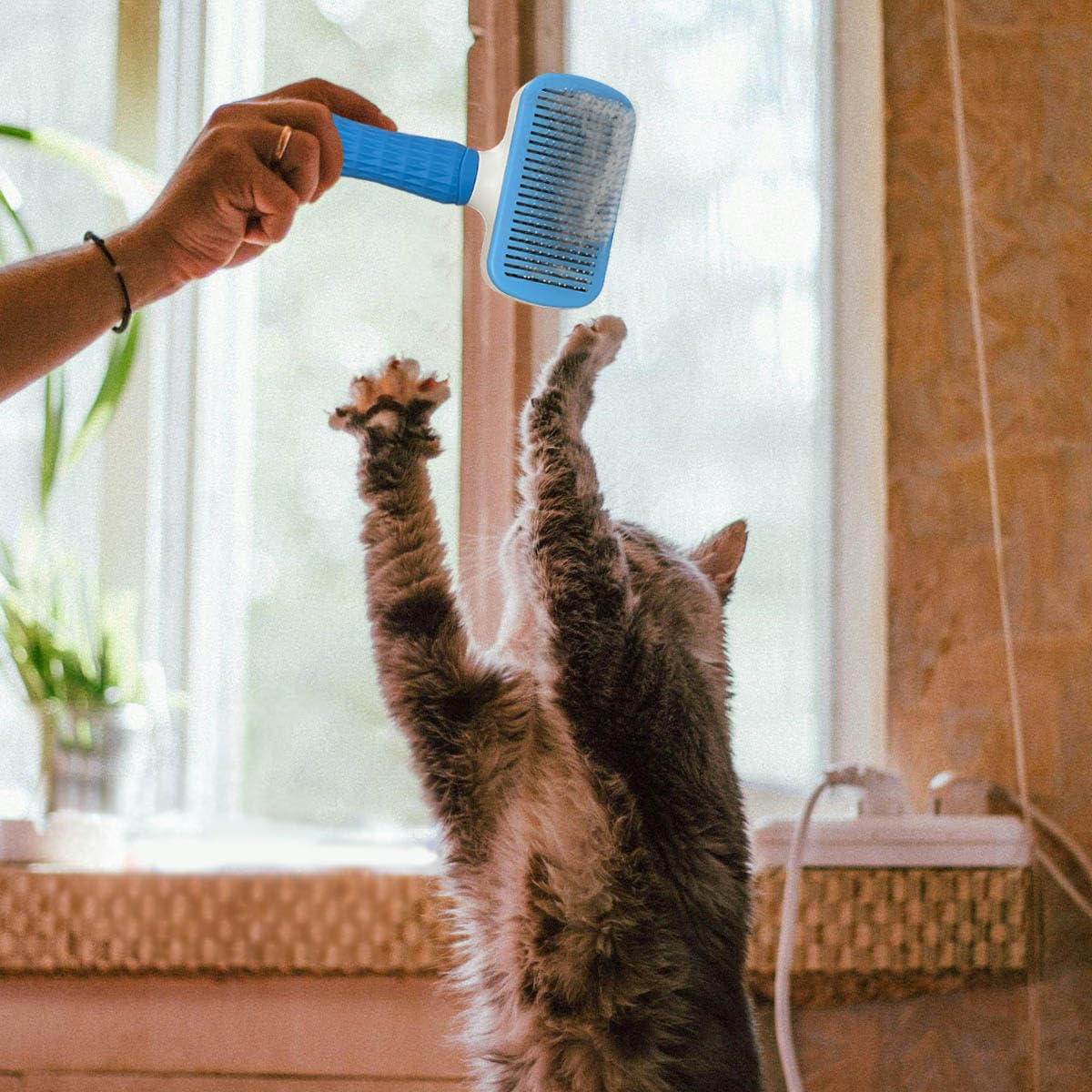 Pet Cleaning Deshedding Brush,Pet Hair Removal Brush for Shedding Massaging Grooming for Small Dogs,Cats,Rabbits