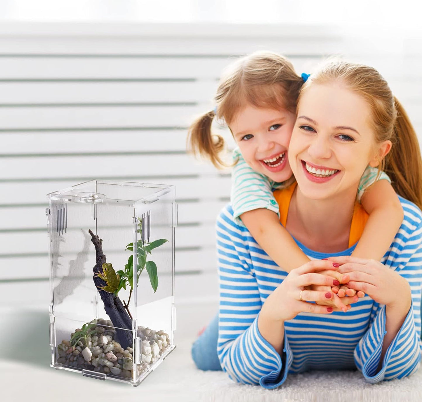 BETAZOOER Acrylic Mini Reptile Tank Habitat Transparent Terrariums with Locking Latch Suitable for Tarantula Isopod Roach Invertebrates (4''x4''x8'')