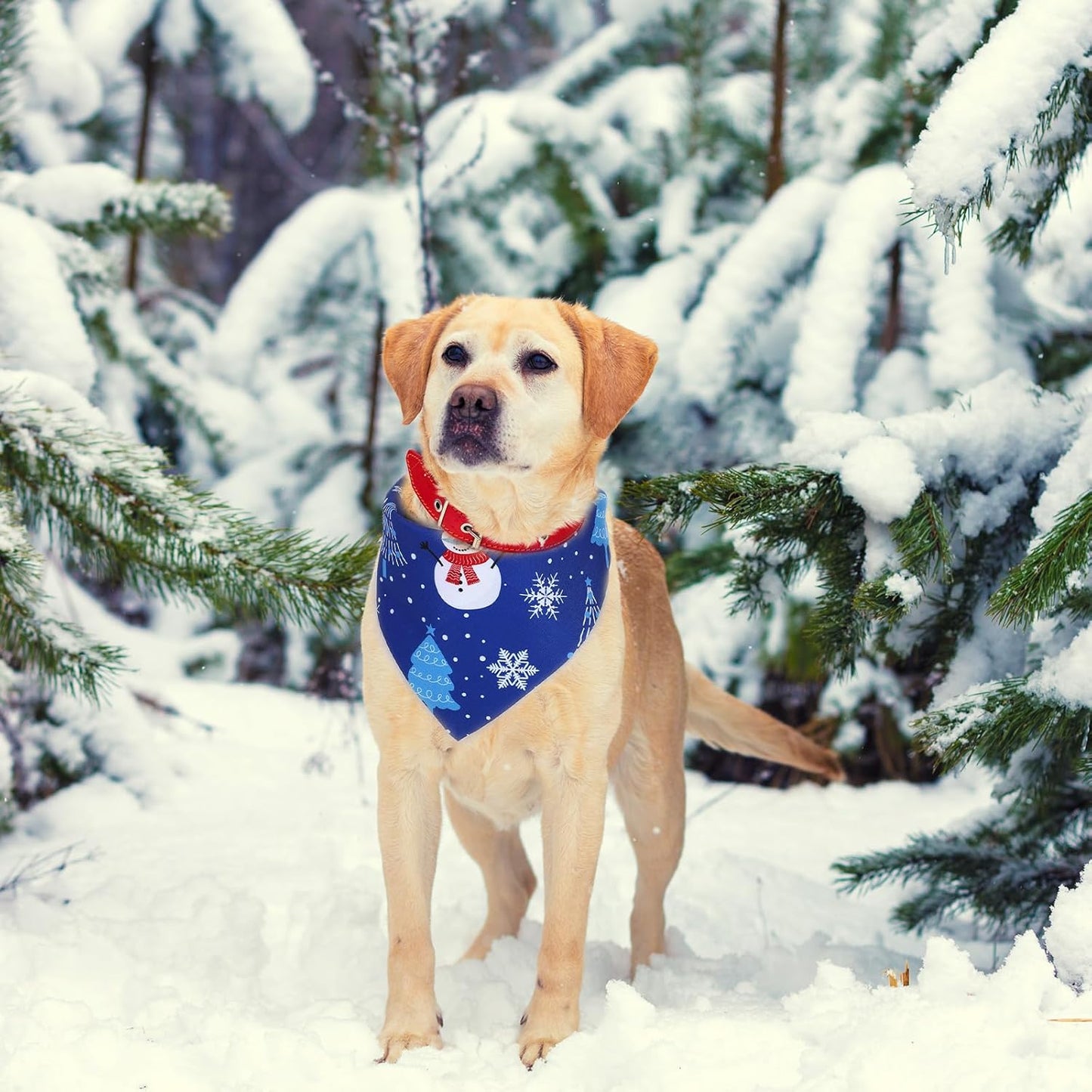 Abbylike 100 Pieces Winter Dog Bandanas Bulk Blue Snowflake Dog Bandanas for Pets Triangle Kerchief Scarf Bibs for Winter Pets Cats Party Costume Accessories