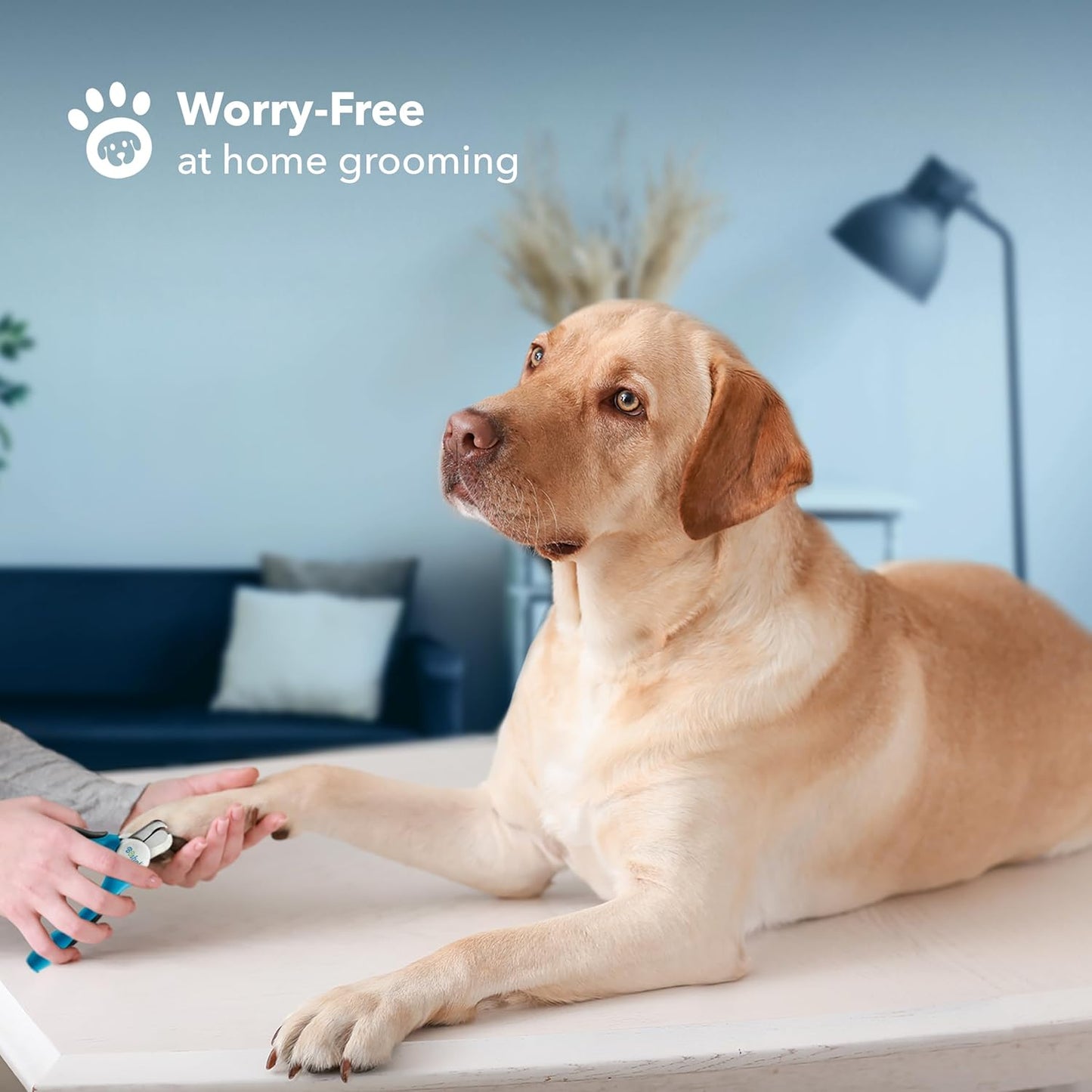 Dog Nail Clippers and Trimmer by Boshel - with Safety Guard to Avoid Over-Cutting Nails & Free Nail File - Razor Sharp Blades - Sturdy Non Slip Handles - for Safe, Professional at Home Grooming