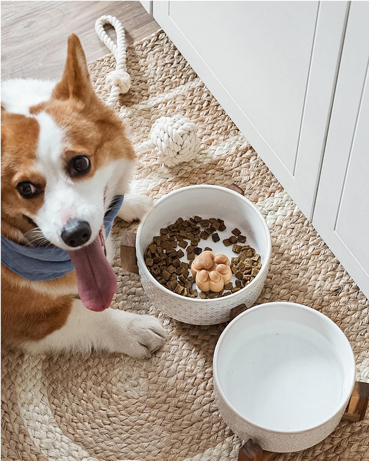 LE TAUCI Dog Bowl Set with Acacia Wood Stand - 1.5-Cup Ceramic Puppy Bowls for Small Dogs, Dual Food and Water Bowls with Weighted Non-Slip Base, Clover