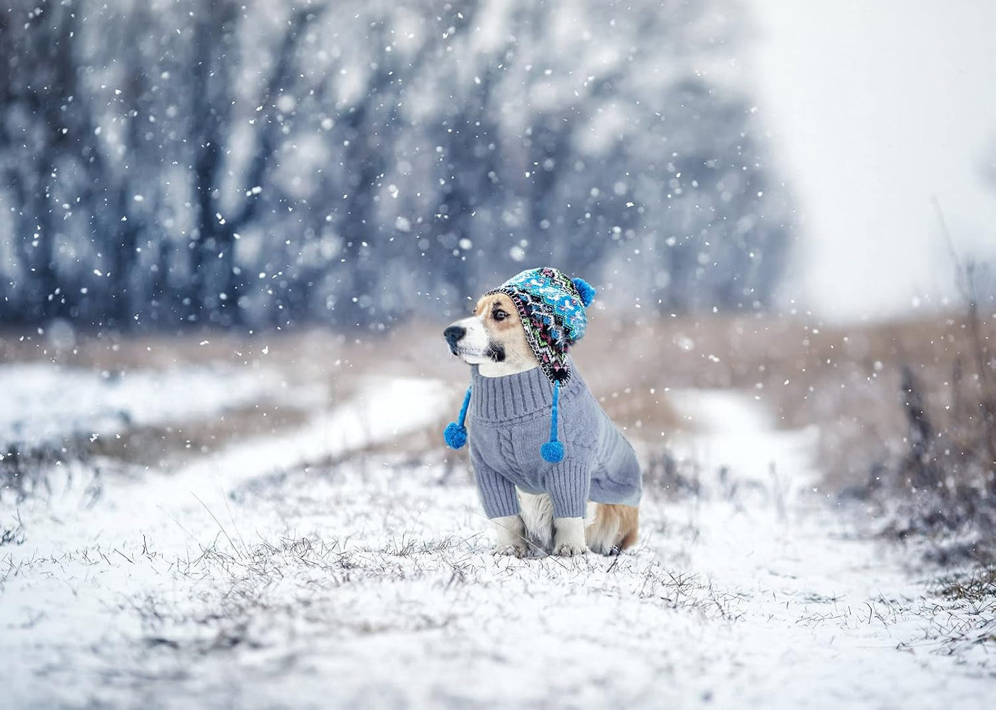 Queenmore Small Dog Pullover Sweater, Cold Weather Cable Knitwear, Classic Turtleneck Thick Warm Clothes for Chihuahua, Bulldog, Dachshund, Pug, Yorkie (Grey, Large)