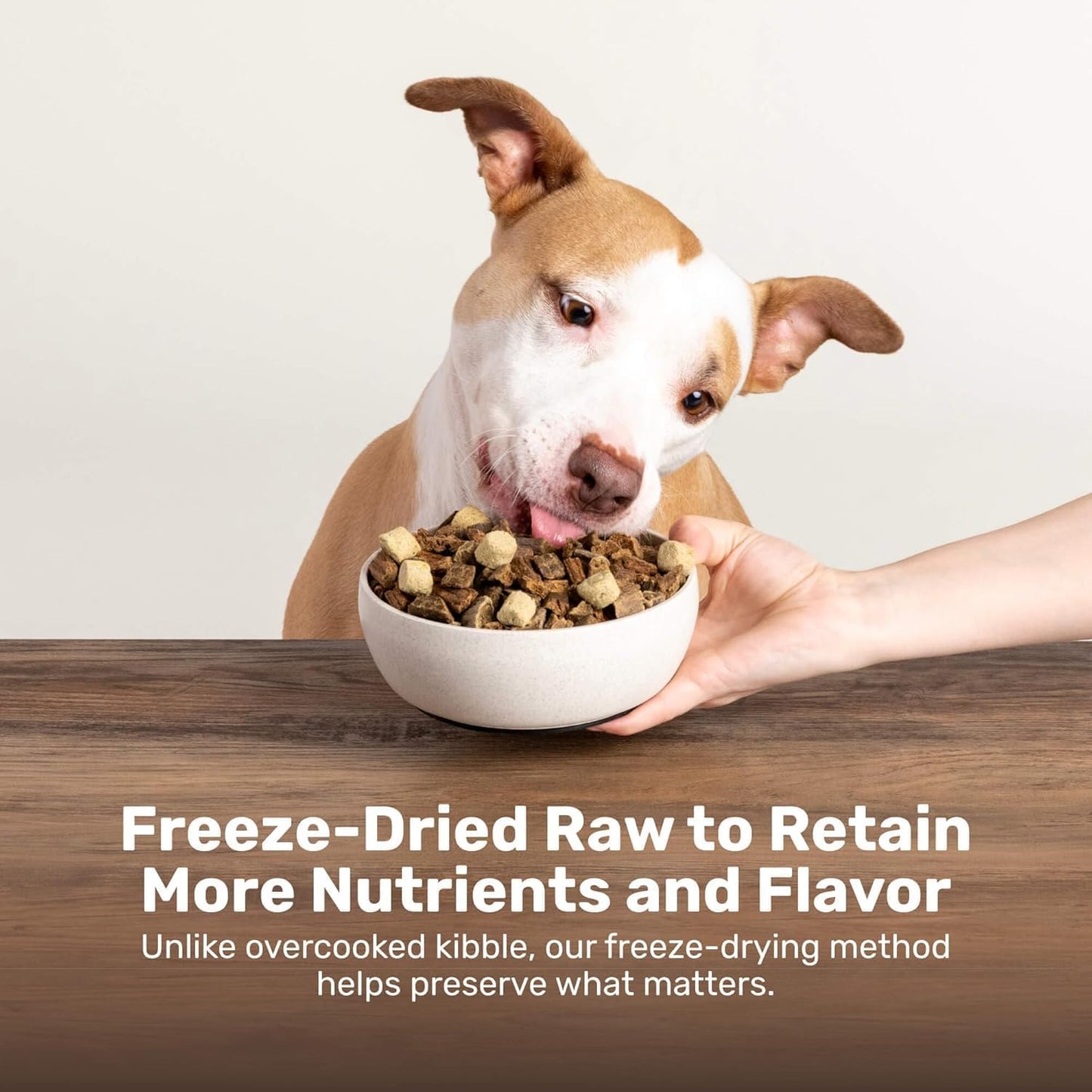 BADLANDS RANCH Superfood Nuggets – Freeze-Dried Raw Dog Food Topper/Treat. Nutrient-Dense Bison & Kale Formula. No Artificial Additives. Premium 8oz Bags – 4-Pack Bundle