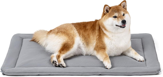 Cybarmour Chew Proof Dog Crate Pad - Outdoor Indestructible Dog Bed - Tough - Potable - Machine Washable - Water & Dirt-Resistant - Medium Breeds & Fits 30-Inch Crate - 29"x18", Limestone