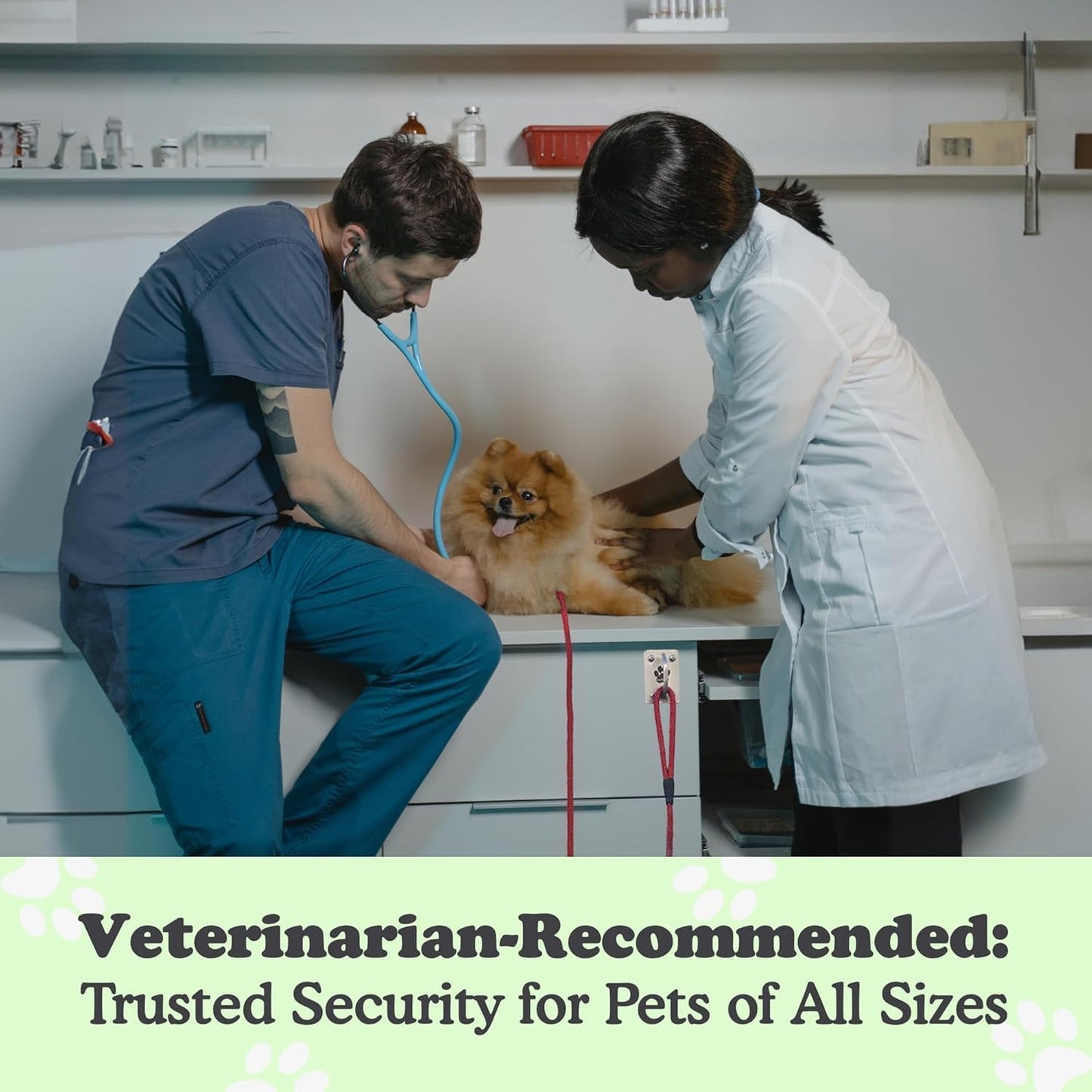 Canine Hitch- Secure Dog Leash Parking Mounted Indoor – Outdoor Wall Hook - Tie Out Stainless Steel Practical Lead Management for Home & Business, Ultimate Strength 2 Pack