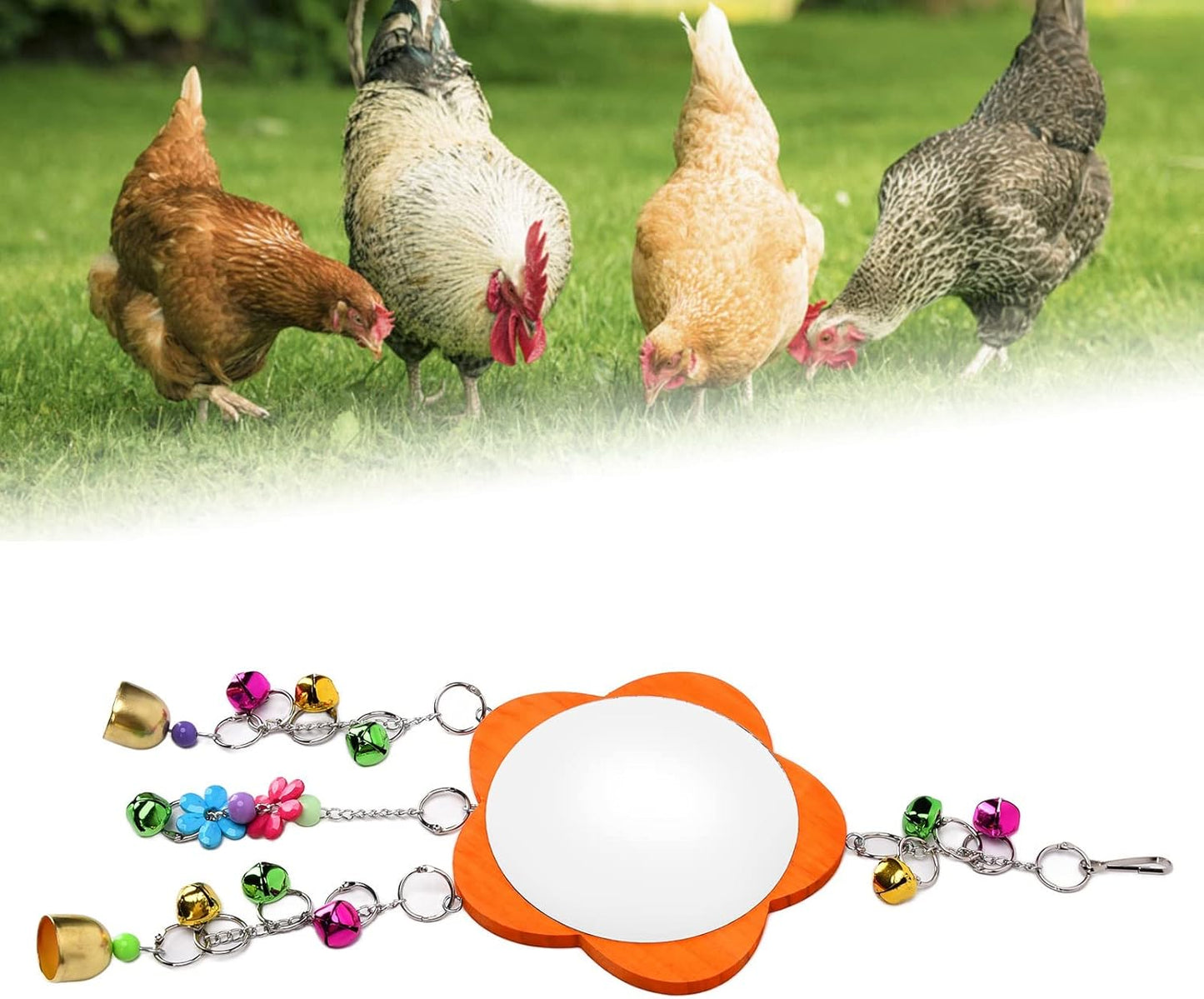 GLOGLOW Bird Mirror Toy, Hanging Parrot Mirror Rooster Toy Mirror with Colored Bells Interactive Playing Toy for Chicks Hens Cockatiel Parakeets Canaries Budgie