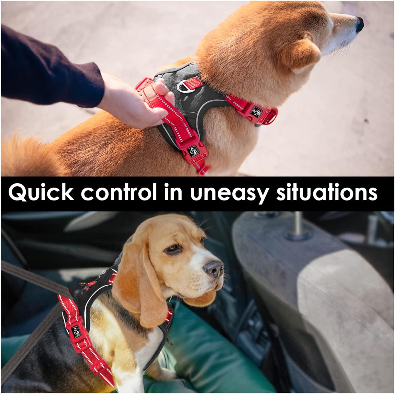 PHOEPET No Pull Dog Harness, Unique Colors Reflective Adjustable Dog Vest, with Soft Training Handle Metal Clips for Small Medium Large Dogs (Black Base & Red Straps,XL)