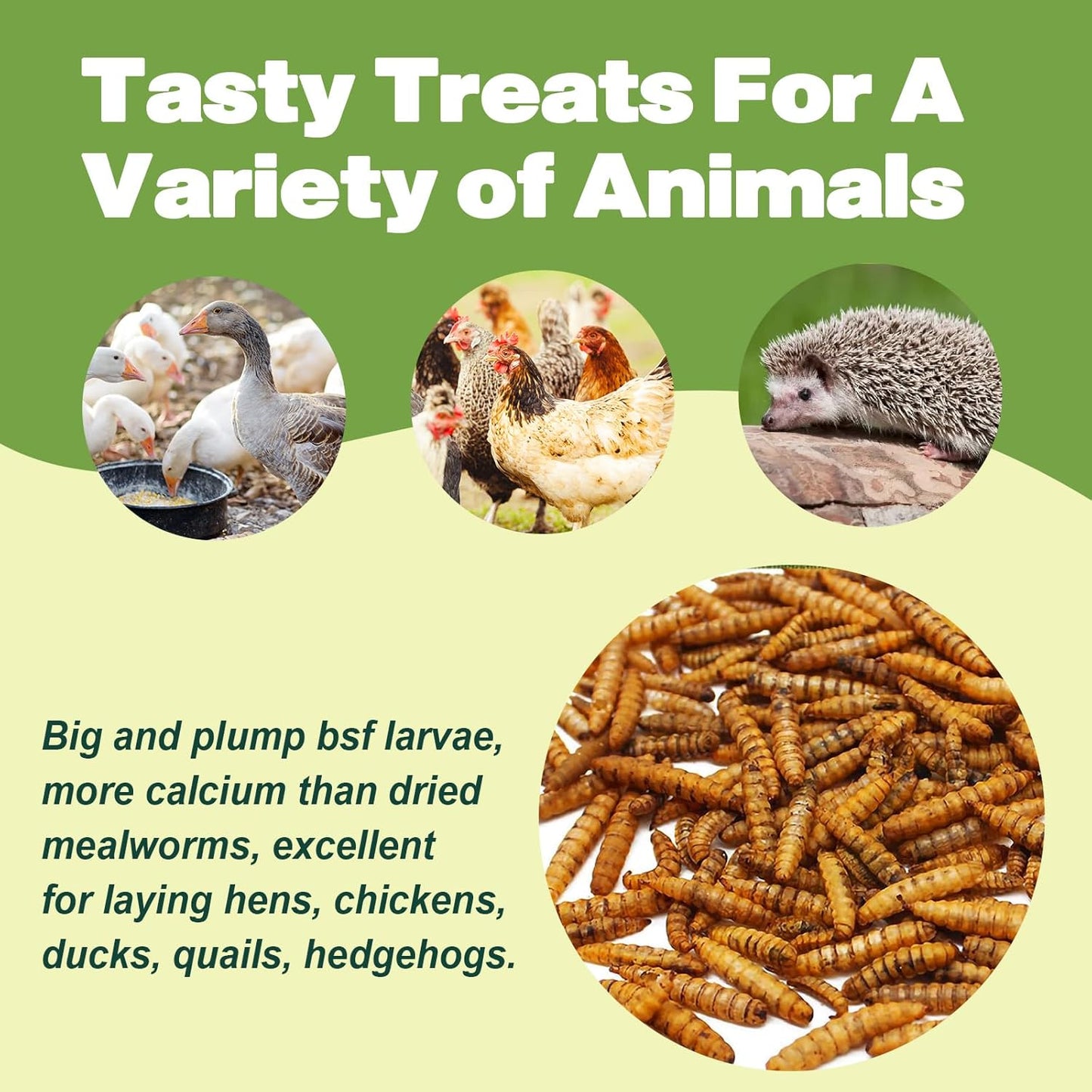 10LB Dried Black Soldier Fly Larvae, 86X Calcium Than Dried Mealworms, High Protein Non-GMO Organic Chicken Feed