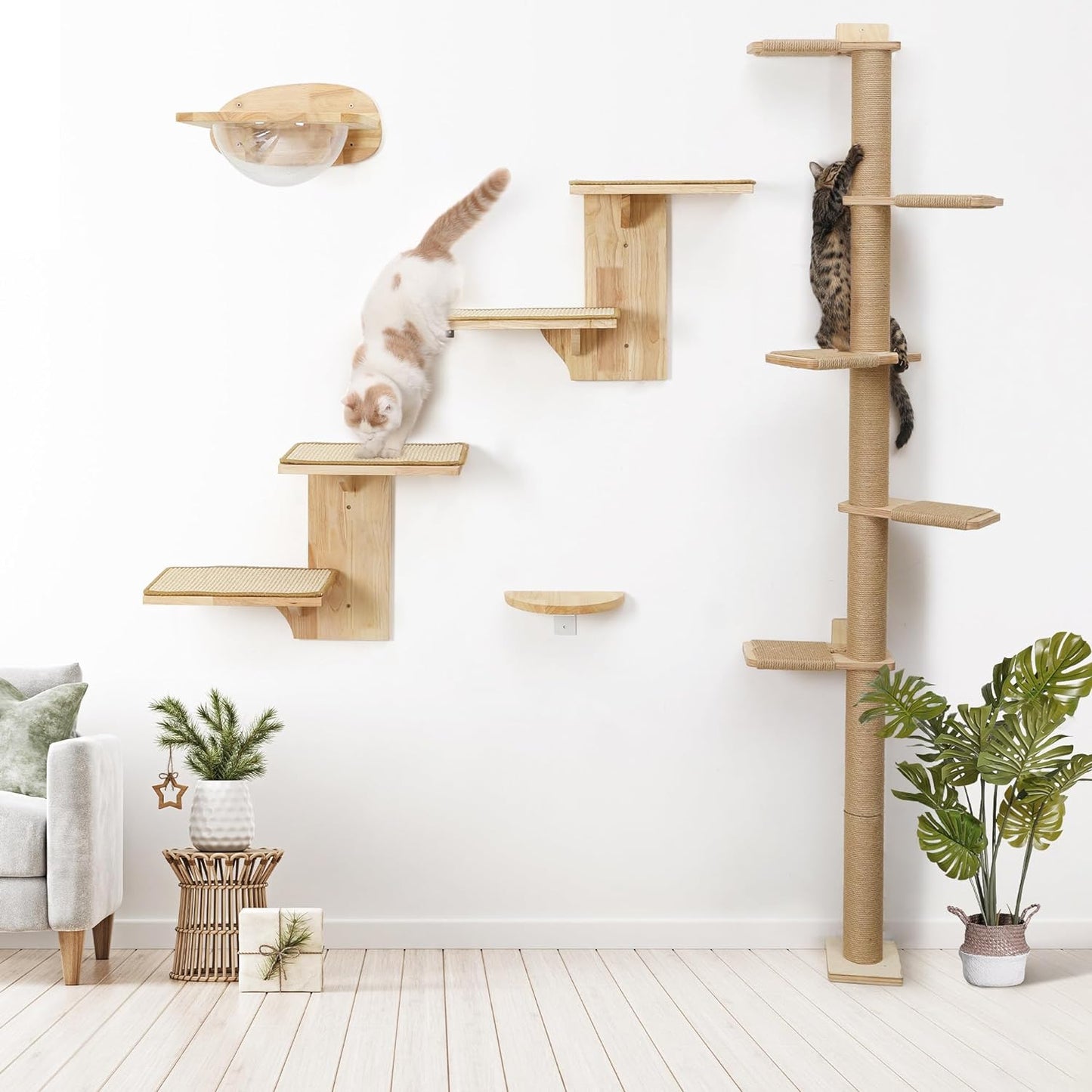 FUKUMARU Cat Wall Shelves, 2 Platform Kitten Wall Furniture, Tree Shape Wall-Mounted Floating Shelf with Sisal Mat, Solid Rubber Wood Cats Perch for 16 Inch Drywall, Suitable for Climb, Play, Nap