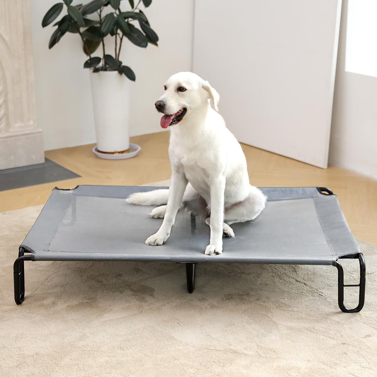 pettycare Elevated Outdoor Dog Bed - Dog Cots beds for Large Dogs XL, Waterproof Raised Dog Bed Easy to Assemble, Cooling Elevated Dog Bed with Teslin Mesh, Durable, Non Slip, Up to 85 lbs,Grey