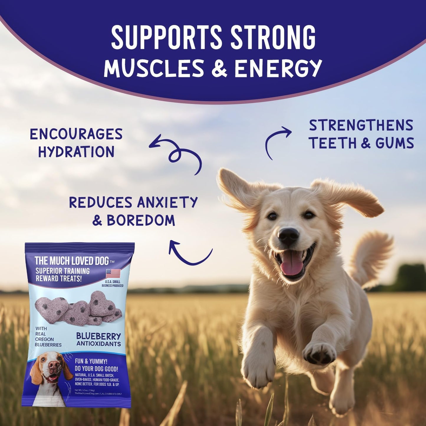 The Much-Loved Dog!™ Blueberry Dog Treats – Natural Biscuits for Small Dogs & Large Breeds – Healthy Puppy Treats for Small Dogs Made in USA, Soft Training Snacks for All Breeds (1 Pack, Blueberry)