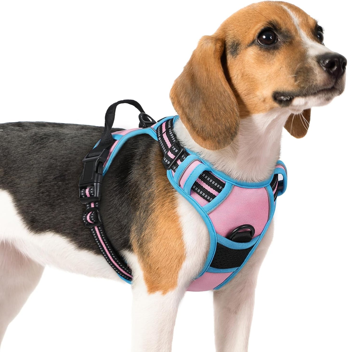 rabbitgoo Dog Harness No Pull with 2 Leash Clips, Adjustable Soft Padded, Reflective Oxford No Choke Pet Vest with Easy Control Handle for Medium Sized Dogs, Pink & Blue, M