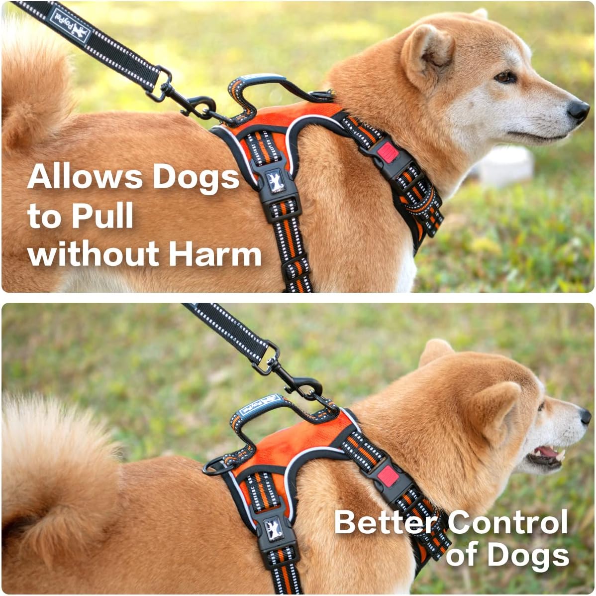 PoyPet No Pull Dog Harness, No Choke Front Clip Reflective Dog Vest with Soft Padded Vertical Handle, 3 Leash Attachments for Small Medium Large Dogs (Orange,M)