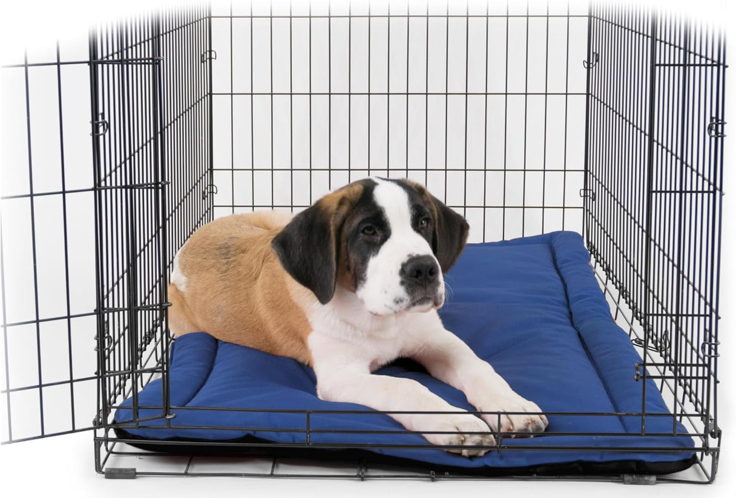 K9 Ballistics Tough Ripstop Dog Crate Pad - Durable & Machine Washable with Non-Skid Bottom and 120-Day Warranty, Fits 36" Wire Crates - Medium, Blue Quartz