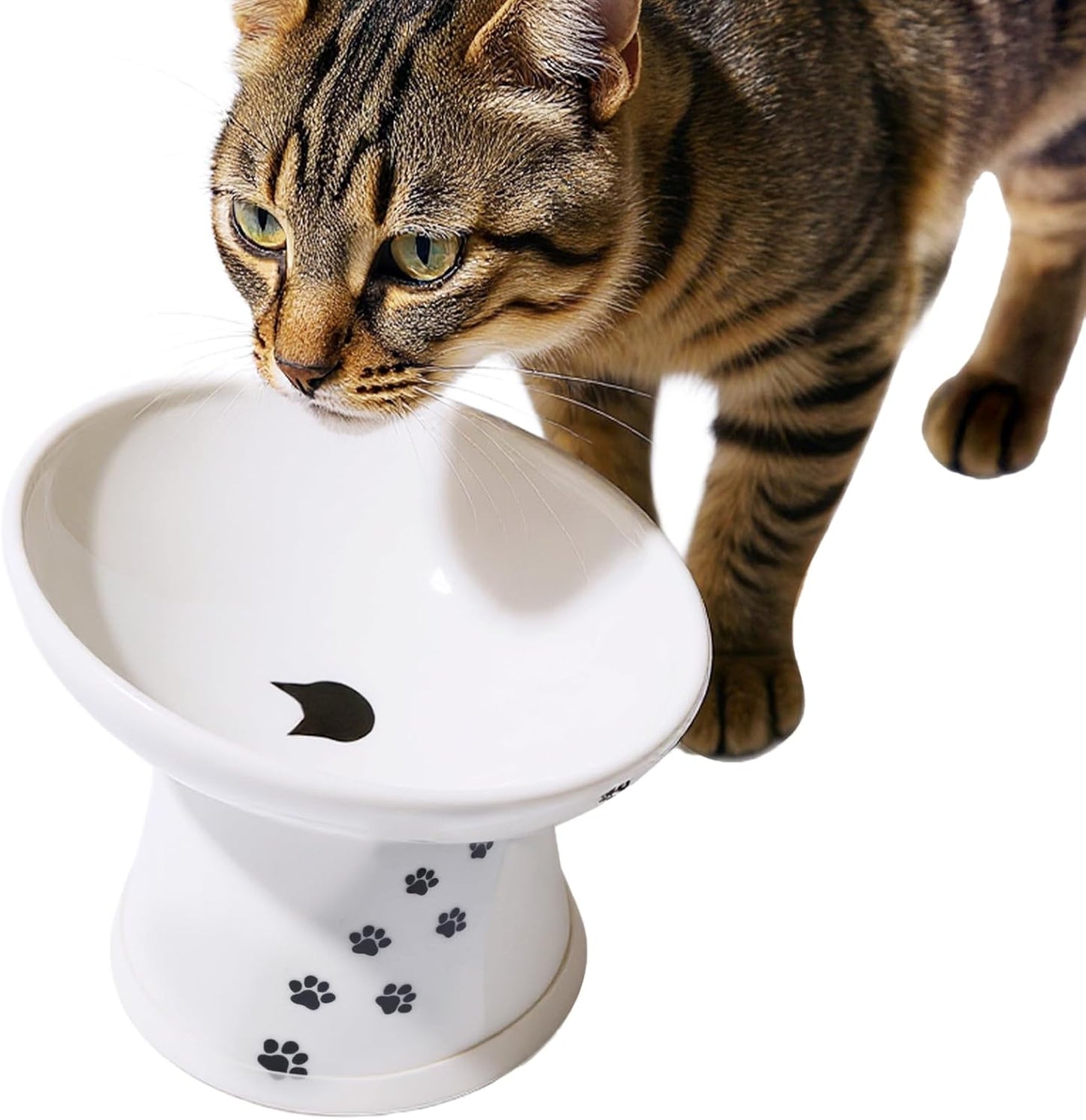 Necoichi Extra Wide Raised Cat Food Bowl, Elevated, Prevent Neck & Whisker Fatigue, Dishwasher and Microwave Safe, No.1 Seller in Japan! (Cat, Extra Wide Tilted)