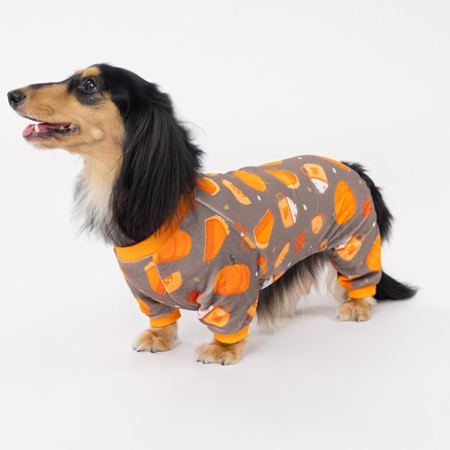 Fitwarm Pumpkin Dog Pajamas, Thanksgiving Outfit for Small Dogs Boy Girl, Pet Onesie, Brown, Orange, XXL