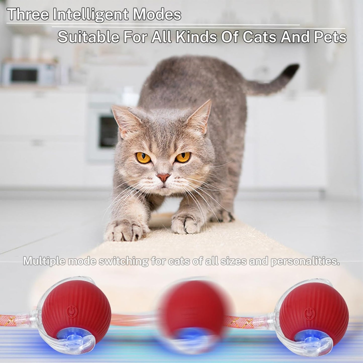 New Upgraded Cat Ball Toy - Speedy Tail 2.0 Cat Toy, Interactive Cat Toy Ball, Stimulating Toys and Juguetes para Gatos, Cat Toys for Bored Indoor（Sound Switchable） (Blue)