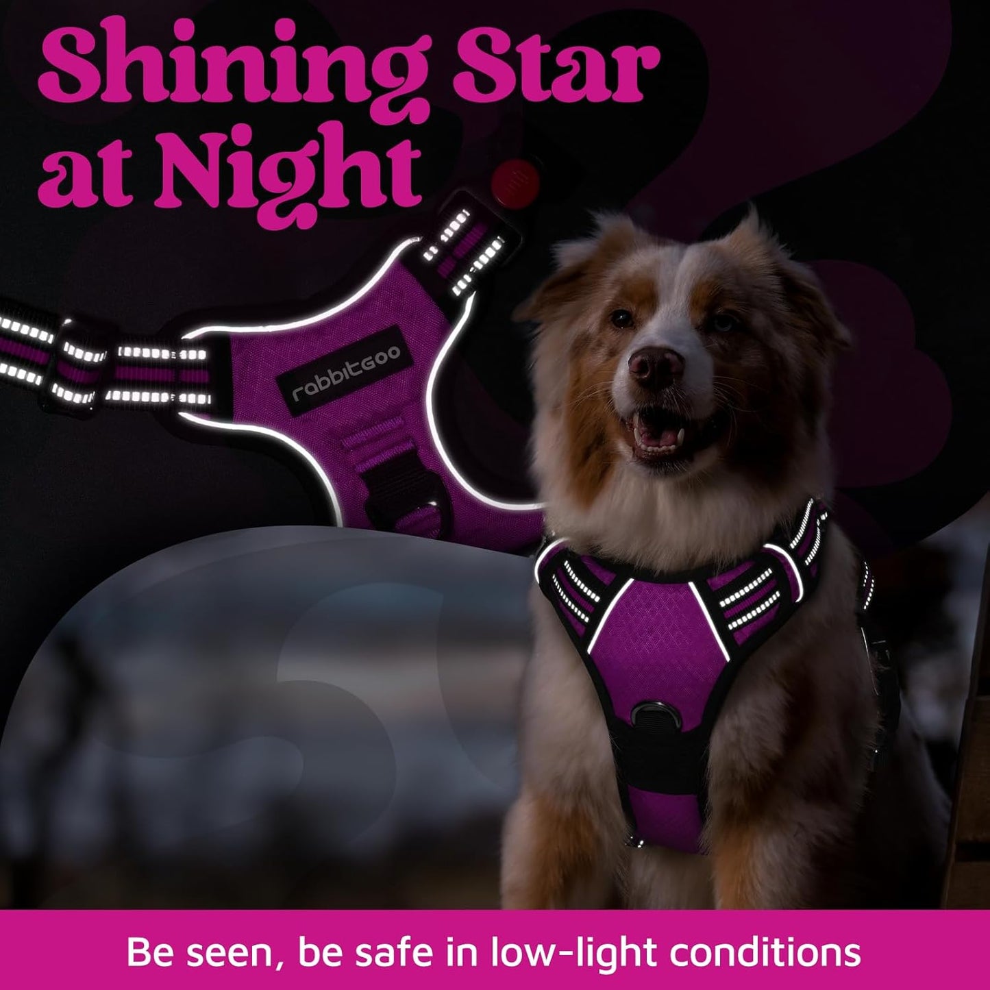 rabbitgoo Dog Harness Medium Sized, No Pull Dog Vest with 3 Buckles, Adjustable Soft Padded Pet Harness with Easy Control Handle and Reflective Strips, Purple, M