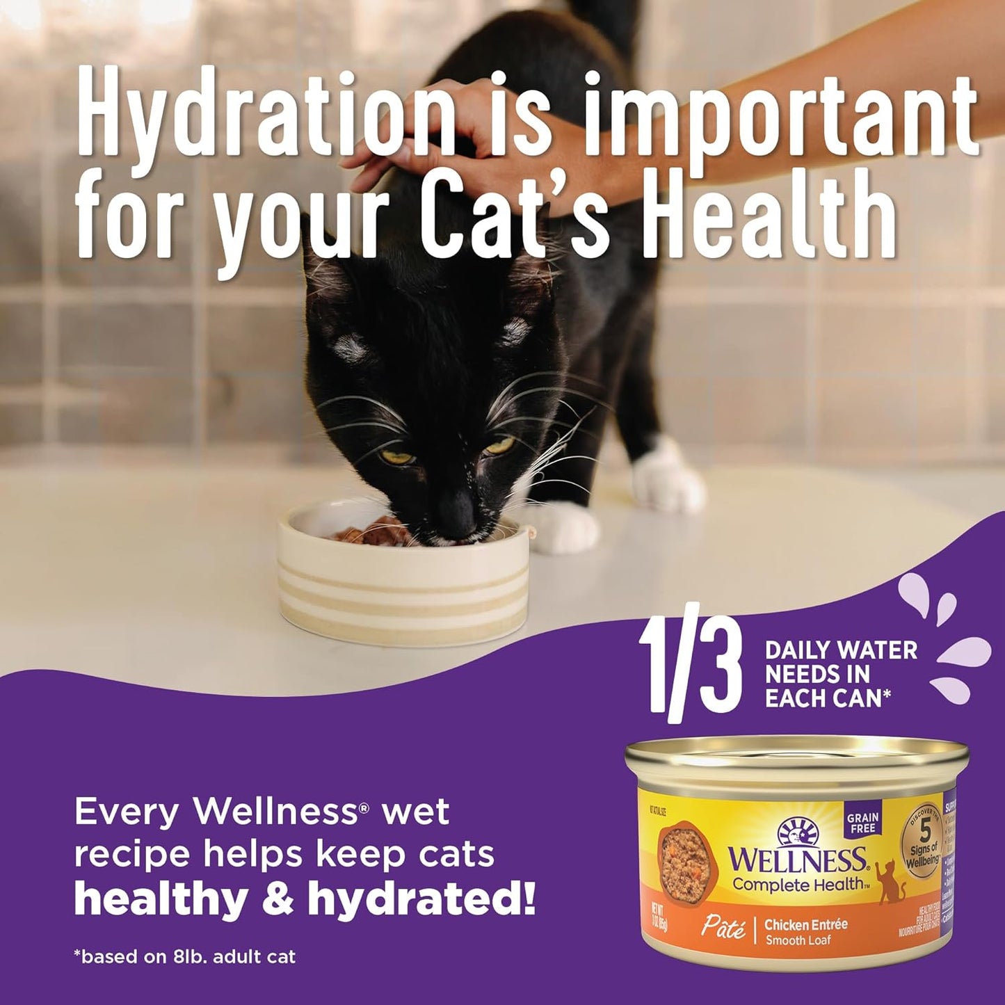 Wellness Complete Health Gravy Adult Wet Cat Food, Natural, Protein-Rich, Grain Free, 3 Ounce, 12 Pack, (Chicken Dinner)