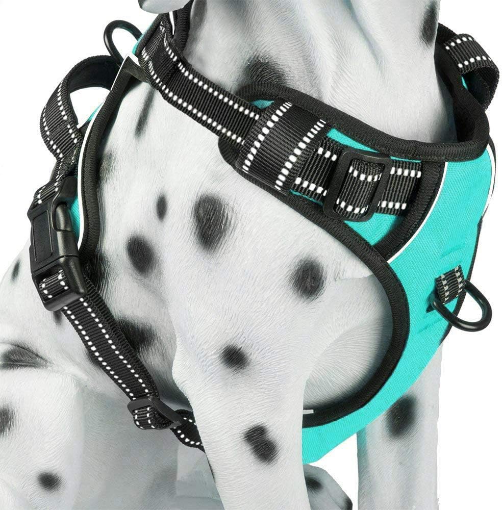 PoyPet No Pull Dog Harness, Reflective Comfortable Vest Harness with Front & Back 2 Leash Attachments and Easy Control Handle Adjustable Soft Padded Pet Vest for Small to Large Dogs (Mint Blue,S)