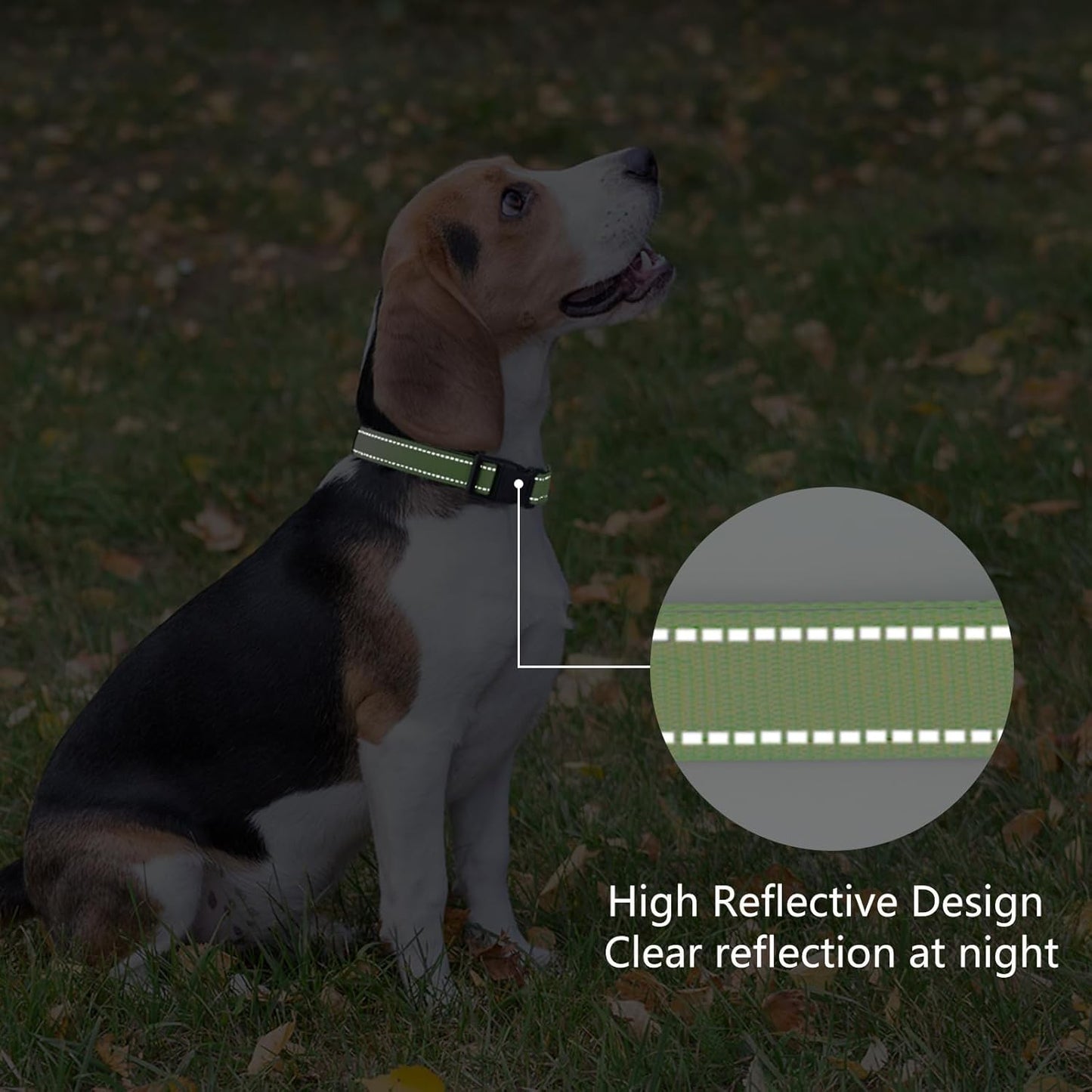 Reflective Dog Collar Padded with Soft Neoprene Breathable Quick Release Basic Dog Collars for Puppy Small Dogs Girl Green