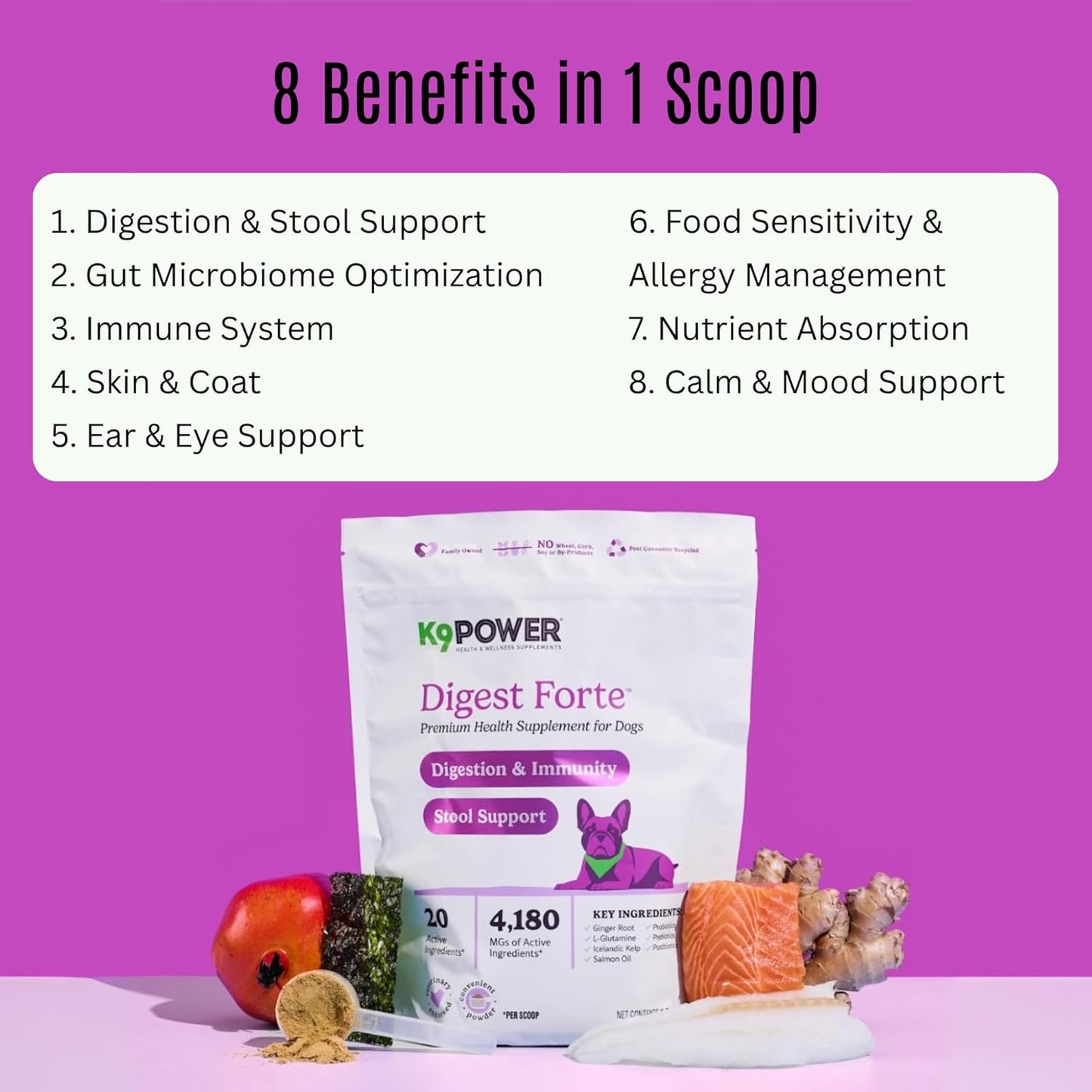 K9 Power Digest Forte for Dogs 1lb – Digestive, Immunity & Calming Support - Enhances Nutrient Absorption - Balances Gut Flora - Eases Discomfort & Boost Mood