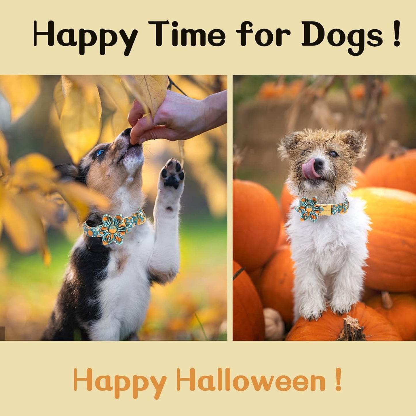 Unique styleUnique Style Paws Halloween Dog Collar with Flower Tie Pumpkin Cotton Collar Adjustable Puppy Collar for Small Medium Large Dogs-XS