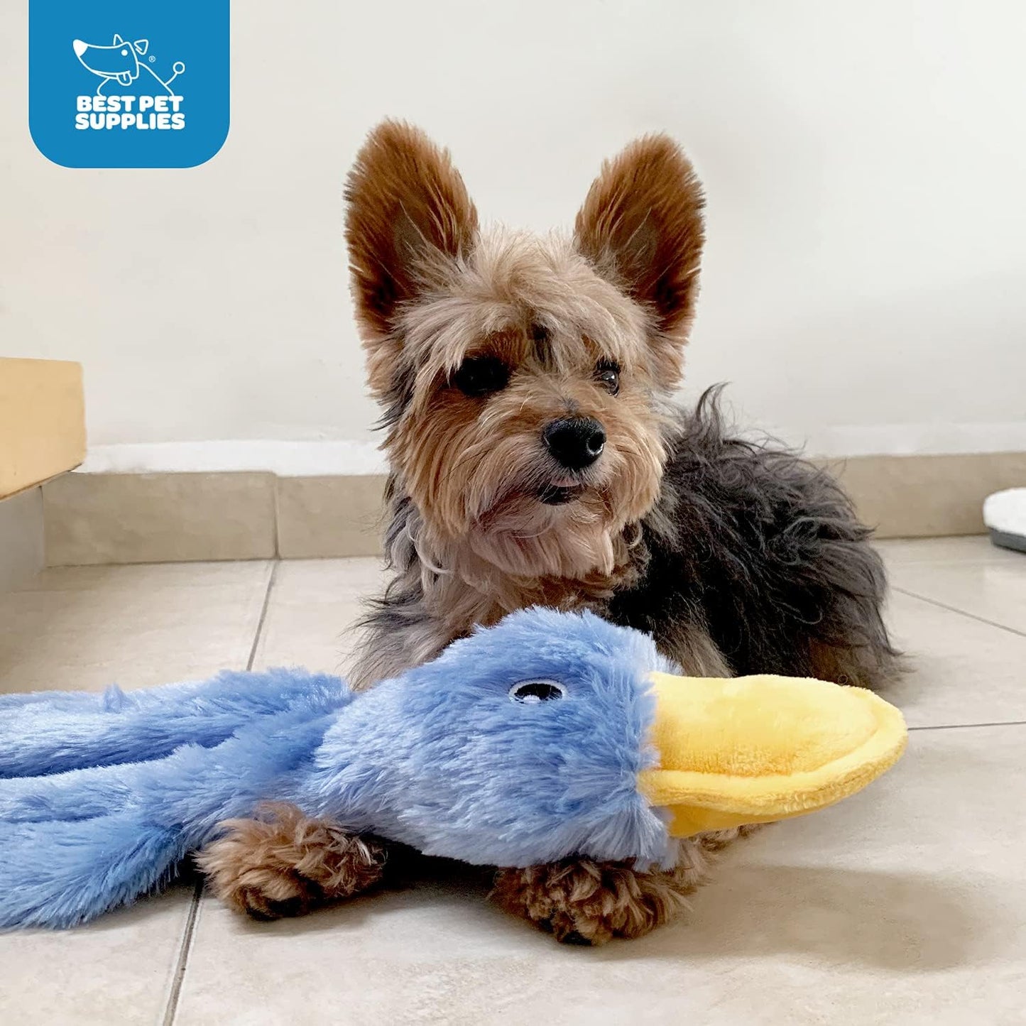 Best Pet Supplies Interactive Squeaky Dog Chew Toy, Ideal Dog Toys for Chewers, Small, Medium & Large Dogs, and Fetch Lovers - Crinkle Duck (Blue), Large