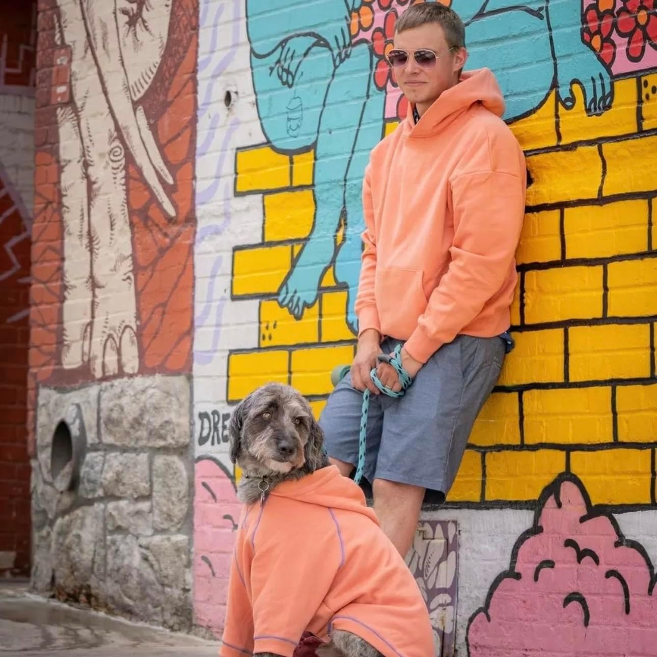 Blueberry Pet Essentials Dog Hoodie – 10 inch, Cotton‑Blend Sweatshirt with Hood, Coral, Machine‑Washable Small‑Dog Jersey