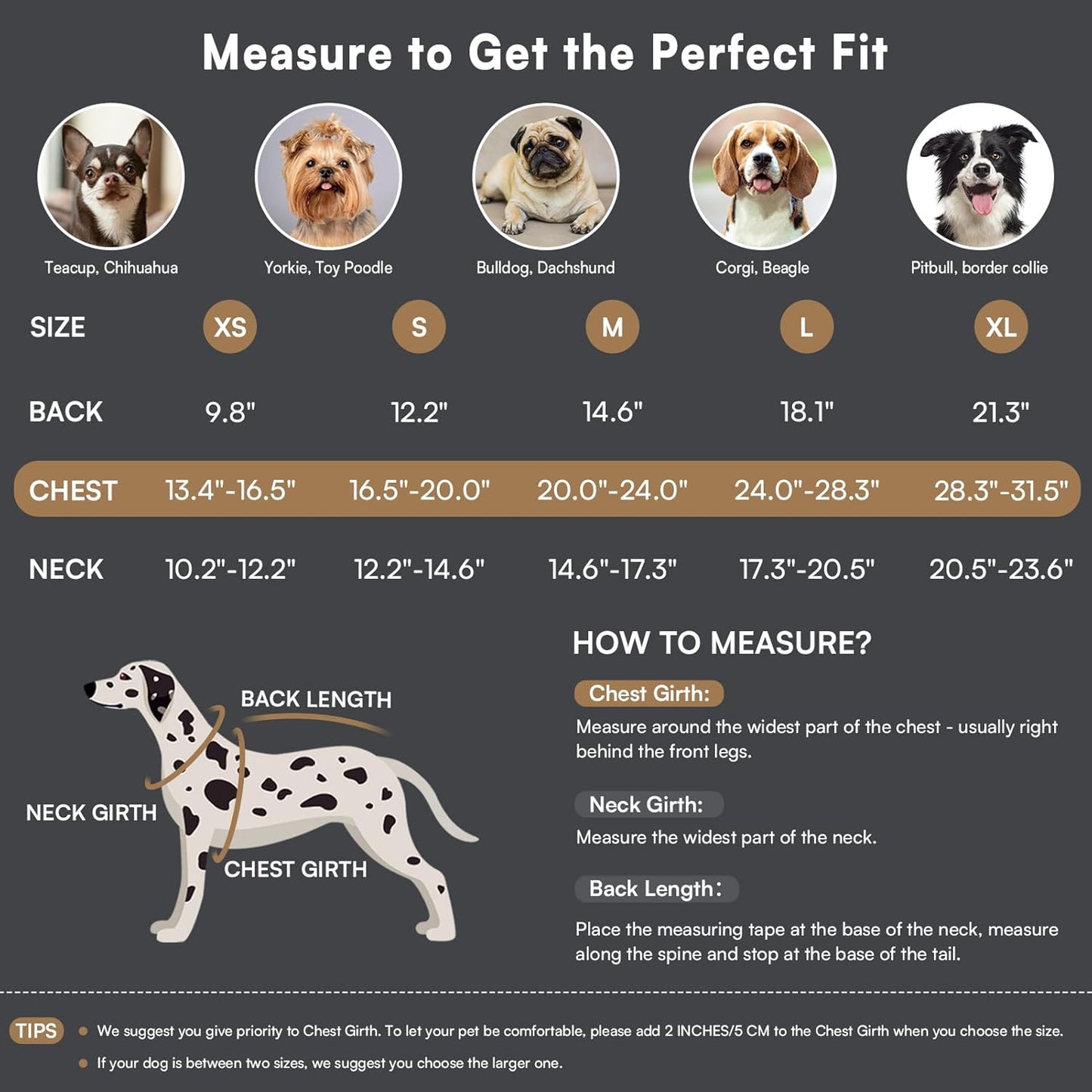 Queenmore Warm Dog Coat, Cold Weather Puffer Dog Coat Vest, Quilting Winter Pet Jacket Ultra Thick Plush Fleece Lining Pet Clothes for Dogs with Storage Pockets (Lilac, Medium)