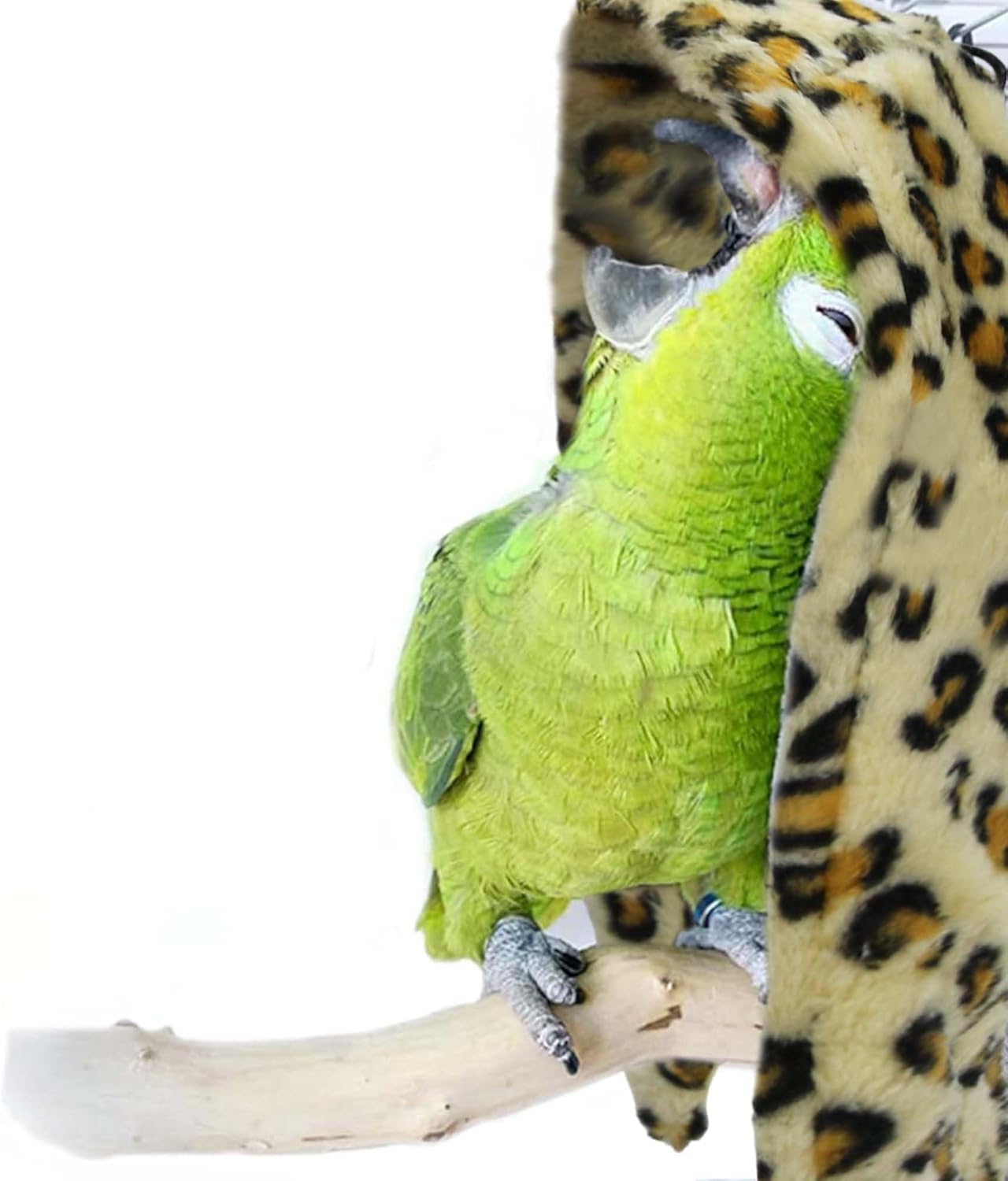 SIMENA Bird Blanket for Cage, Corner Fleece Bed for Birds, Cozy Bird Warmer, Parrot House for Cage, Cuddle Nest Hanging Toy for Lovebirds Parakeet (Yellow, Large)