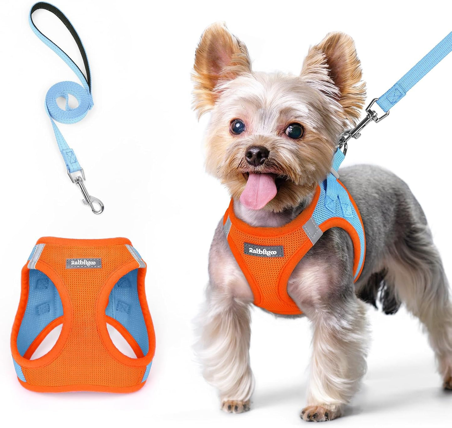 rabbitgoo Dog Harness Small Sized and Leash Set, Step in Soft Light Puppy Vest, Breathable Mesh Pet Harness, Reflective for Safe Easy Walking, Blue & Orange XS