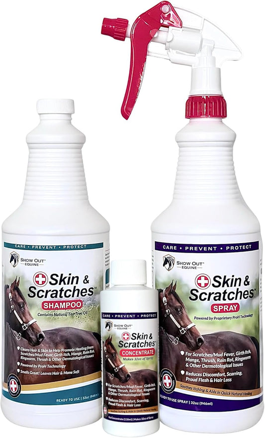 Show Out Skin & Scratches Prevention Pack - Fast Relief and Prevention for Horse Care. Use on Equine Scratches/Mud Fever, Girth Itch, Mange, Rain Rot & Other Skin Issues on Horses w/Empty Spray Bottle