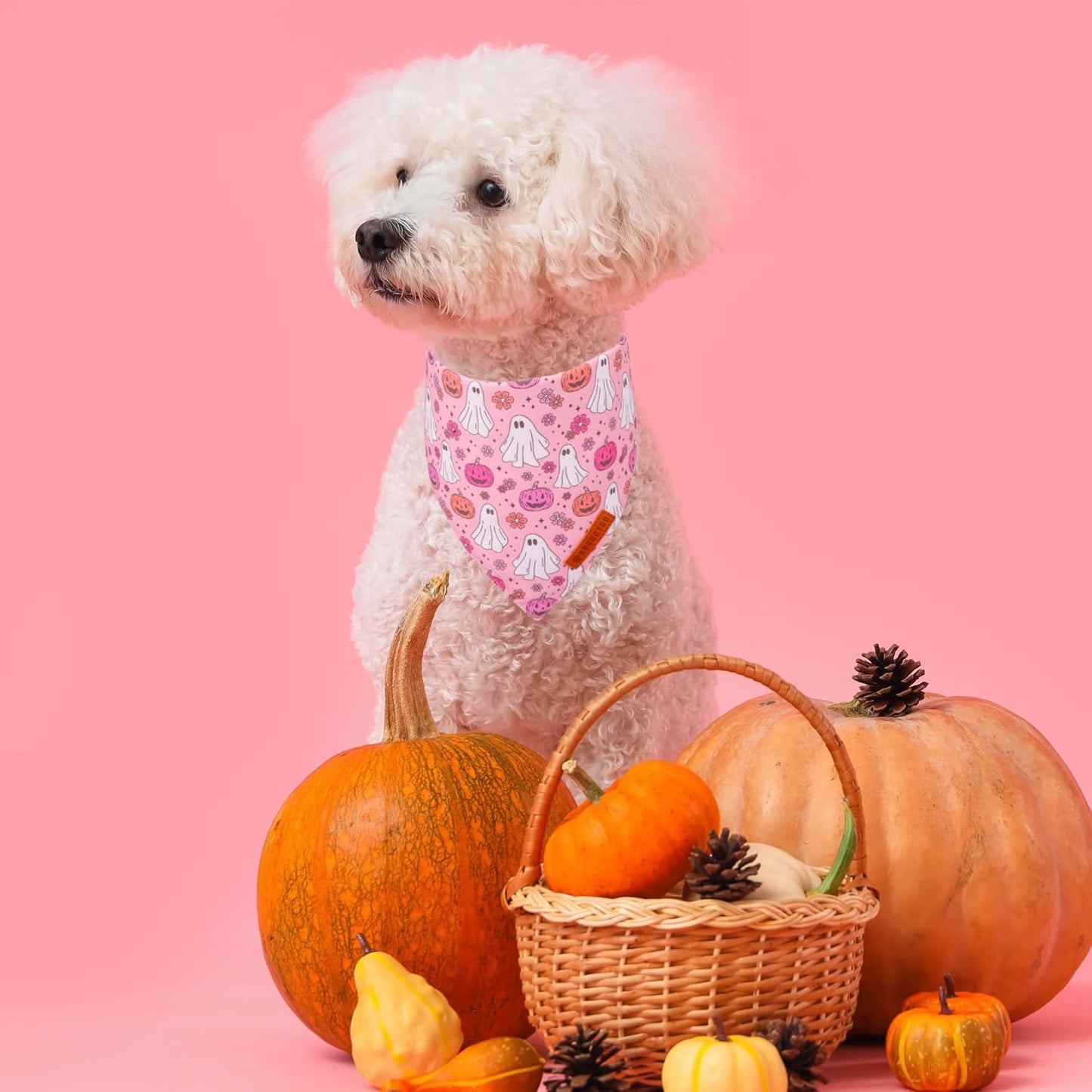 ADOGGYGO Halloween Dog Bandana, Pink Pumpkin Ghost Scarf, Adjustable Fit Female Halloween Bandanas for Small Dogs Puppies (Small)