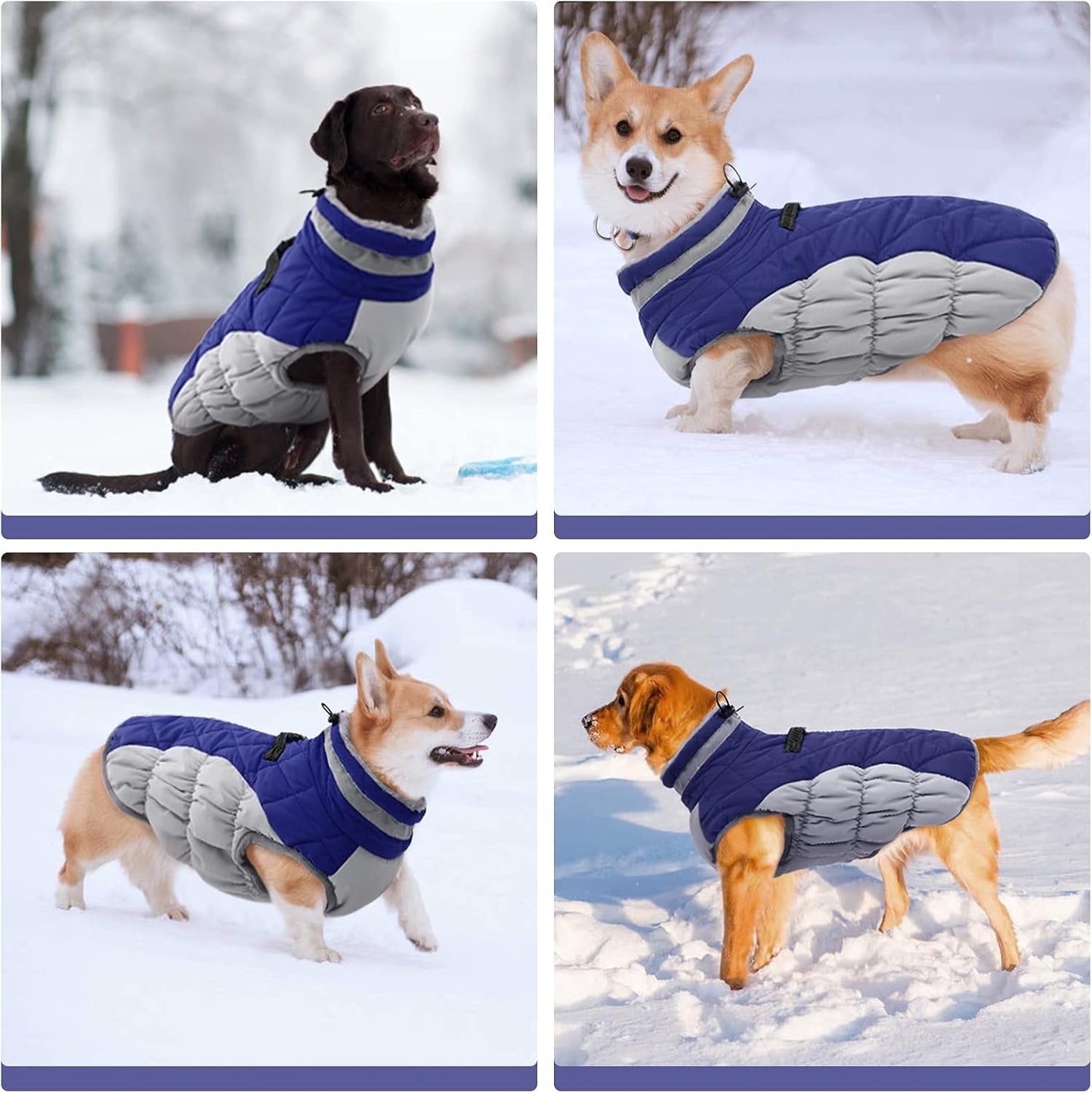 FUAMEY Dog Coat for Medium Dogs,Waterproof Dog Winter Jacket with Harness Built in Puppy Cold Weather Coats Reflective Pet Vest with Zipper Warm Fleece Dogs Snowsuit Windproof Blue M