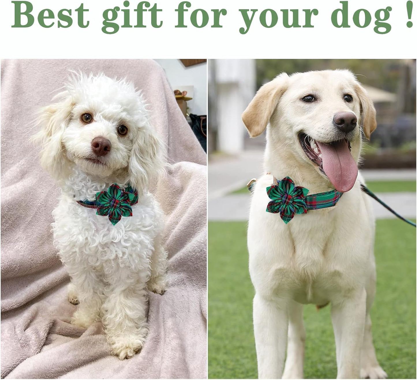 Unique style paws Dog Collar with Flower Tie Christmas Dog Collar for Small Medium Large Dogs with Adjustable Metal Buckle -XS