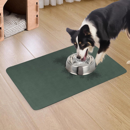 Quick Dry Absorbent Dog Food Mat, 24 x 16 in Diatom Mud Dog Water Bowl Mat, No Messy Anti-Slip Pet Feeding Mat for Medium and Large Dogs