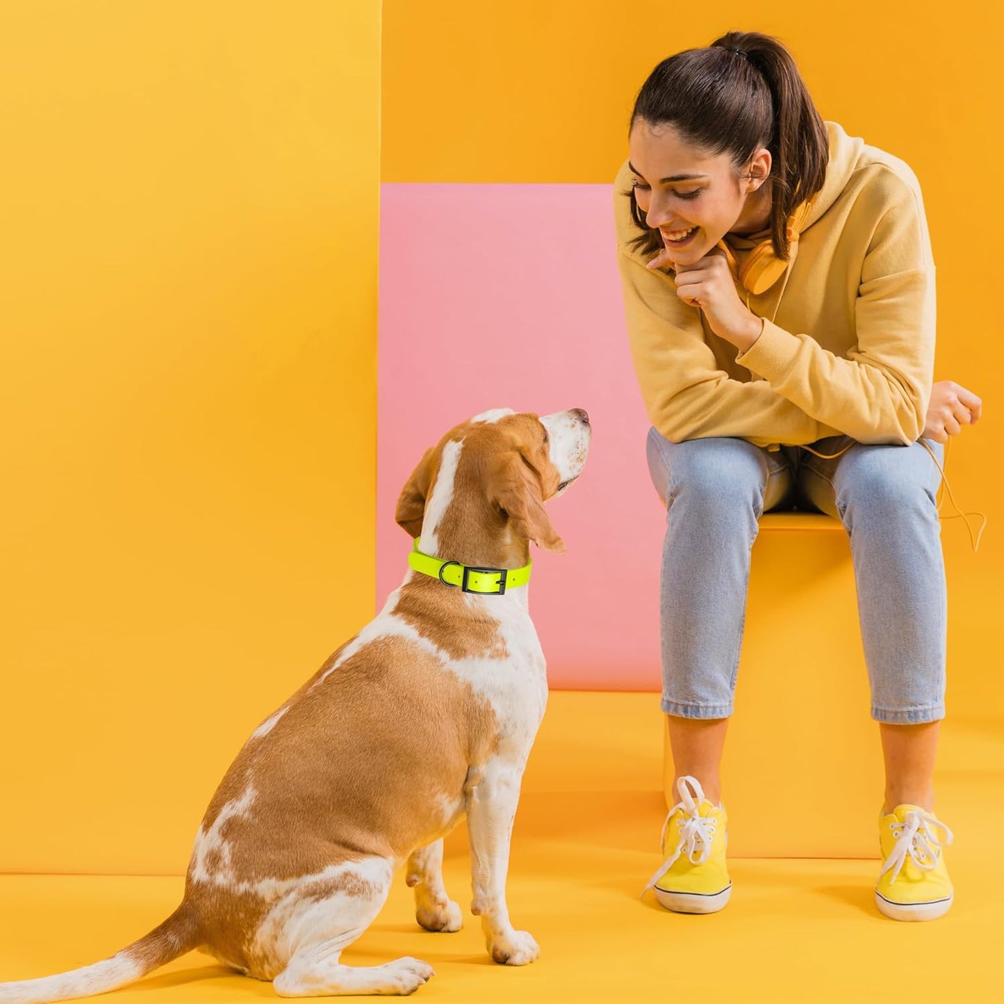 Dogline Biothane Waterproof Dog Collar Strong Coated Nylon Webbing with Black Hardware Odor- Proof for Easy Care Easy to Clean High Performance Fits Small Medium or Large Dogs, Safety Yellow