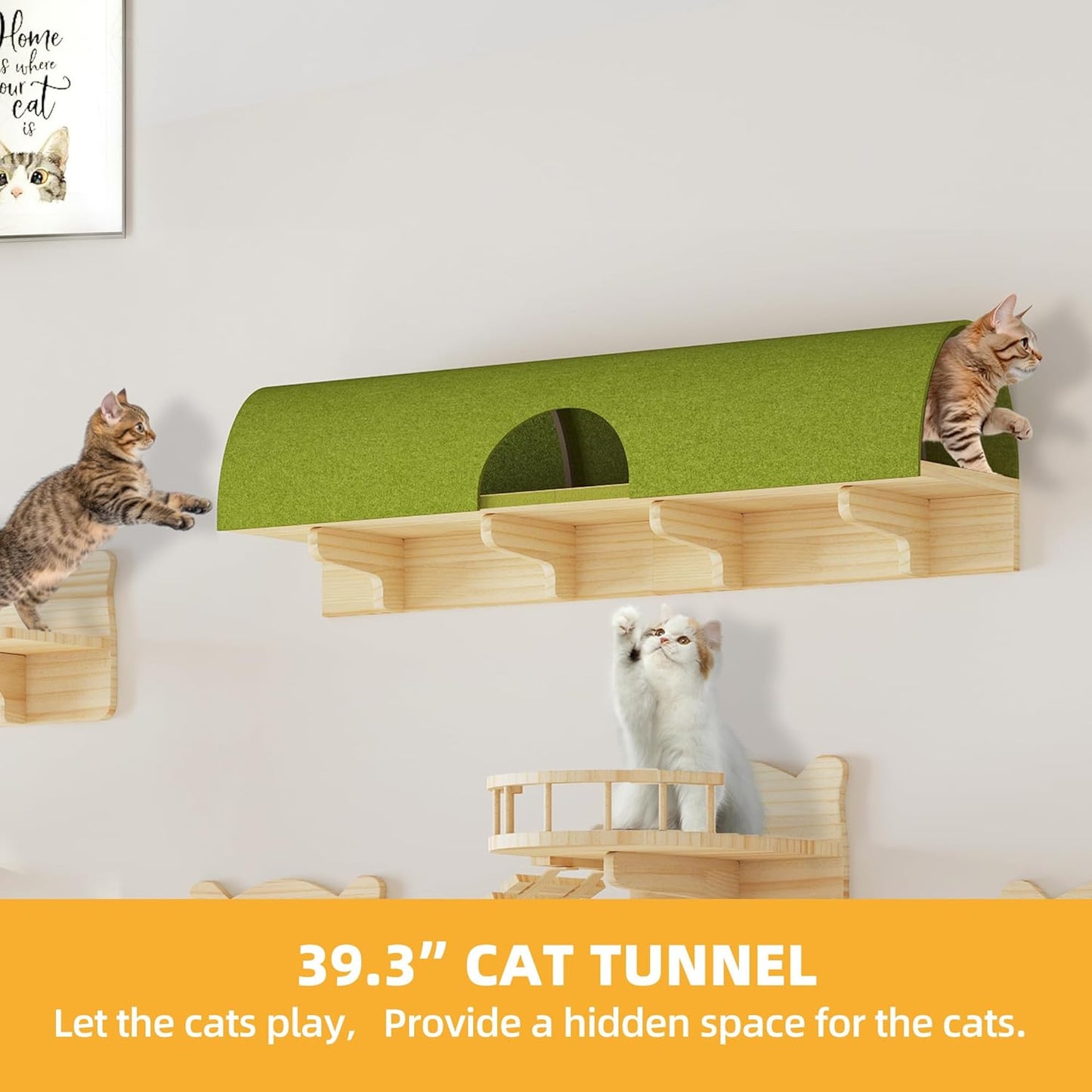 Cat Wall Shelves, Cat Wall Furniture Pine Wooden Feline Shelf, 18 Piece Feline Shelves and Perches with Condos, House, Steps, Bridge Ladder, Scratching Post and Tunnel