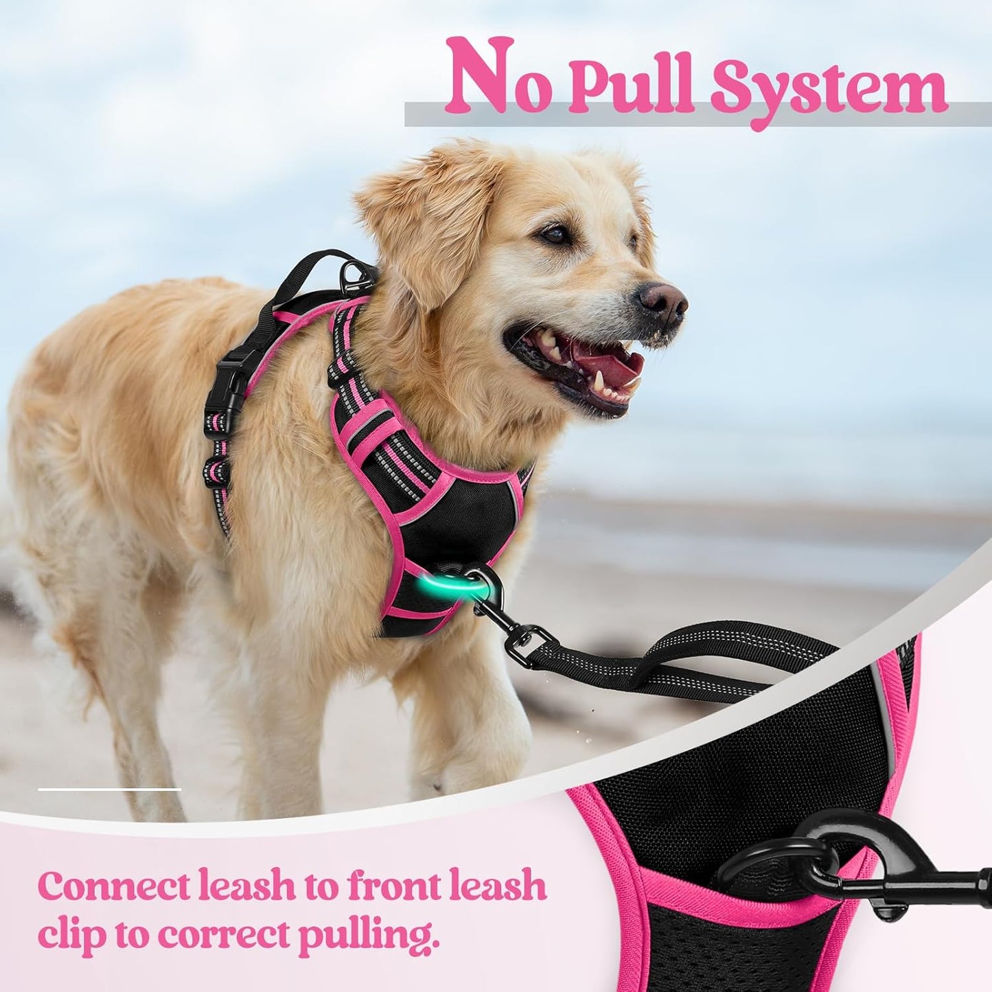 rabbitgoo Dog Harness No Pull with 2 Leash Clips, Adjustable Soft Padded, Reflective Oxford No Choke Pet Vest with Easy Control Handle for Large Dogs, Black & Hot Pink, S