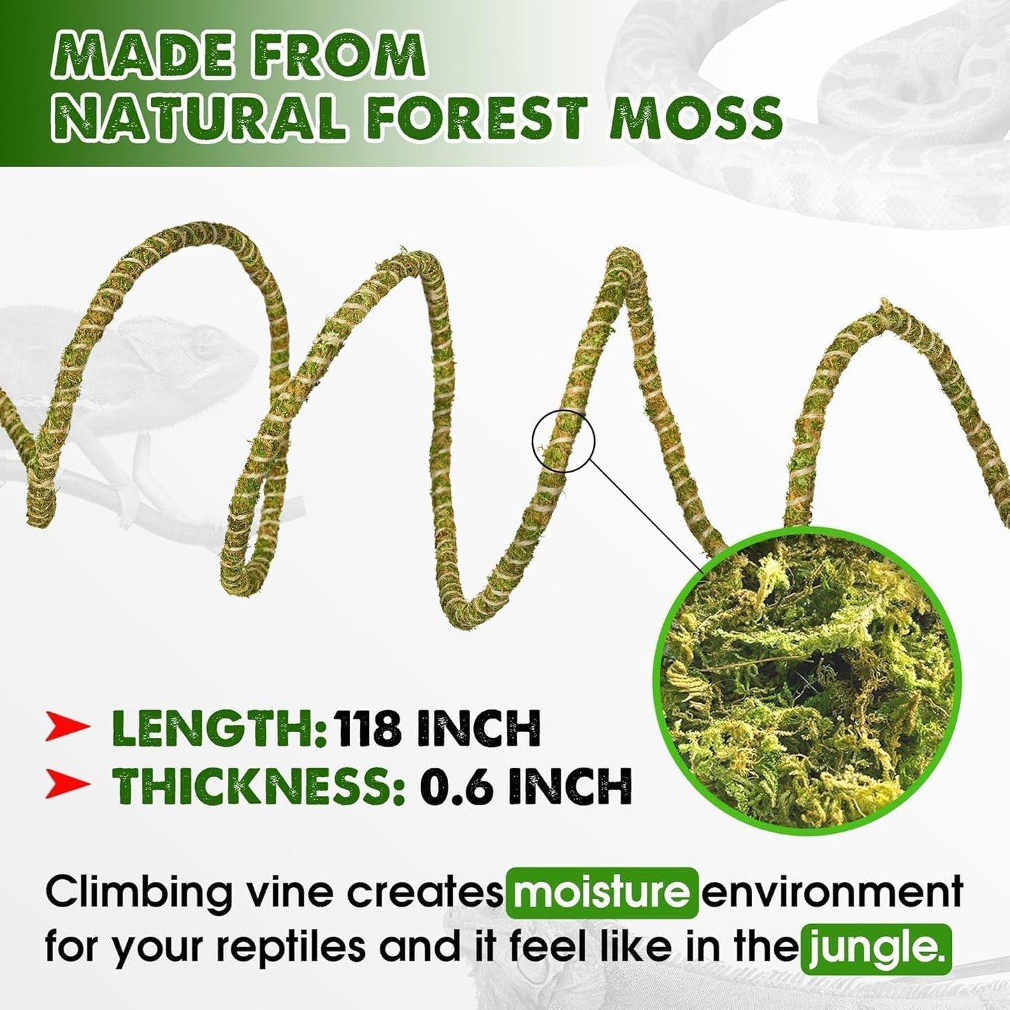 Duspro Reptile Decor Set Including 10FT Reptile Vine Climbing Bendable Branch & 04 OZ Natural Dried Forest Moss Bag Ideal for Bearded Dragon Chameleon Snake Gecko Lizard Terrarium Tank Accessories