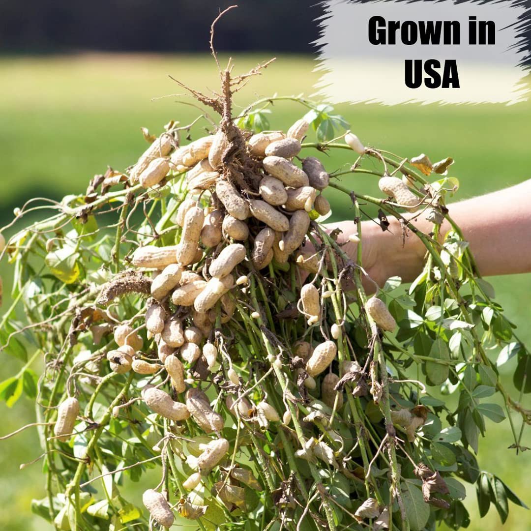 Old Potters Wildlife in-Shell Peanuts for Birds, Squirrels, and Wildlife. USA Grown Non-GMO Raw in-Shell Peanuts (in-Shell, 4 lbs)