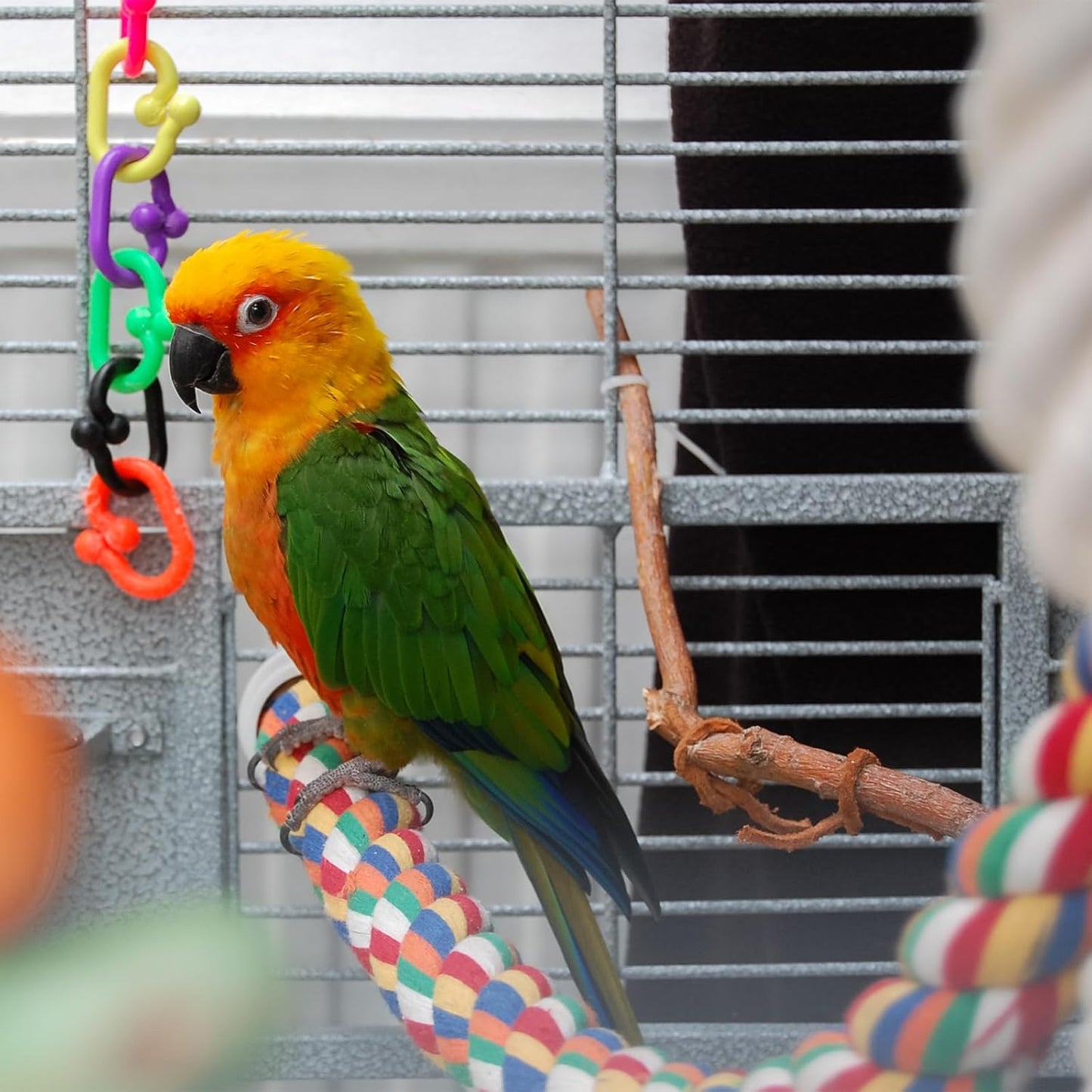 3 Pcs Bird Perch Cage Accessories Perches for Rope Cages Colorful Parrot Ropebird Flexible Parrot Toys (Large + Small) Double-Head Screw Type * 1 + Hook Cotton Rope Type * 1