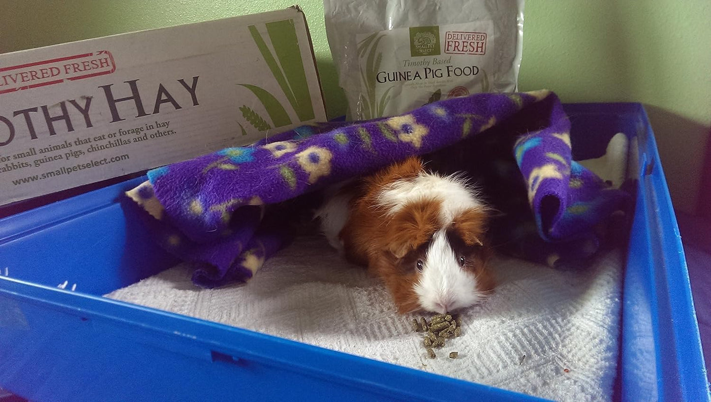 Small Pet Select Guinea Pig Food Pellets, 5 Lb.