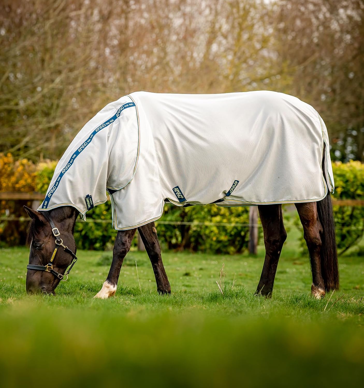 Horseware® Amigo® Bug Rug Fly Sheet (0g Light)