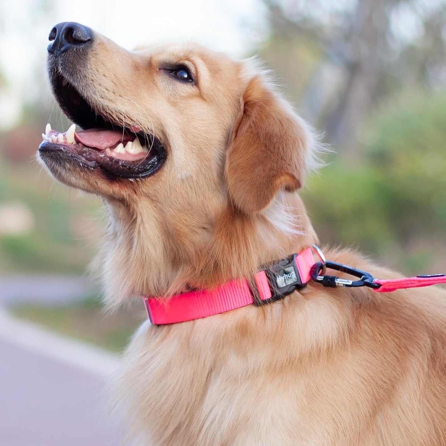 Hyhug Dog Collar with Quick Release Buckle, Nylon Adjustable Durable Cute Pet Collars for Medium Dogs, Boy and Girl(Candy Pink, Medium)