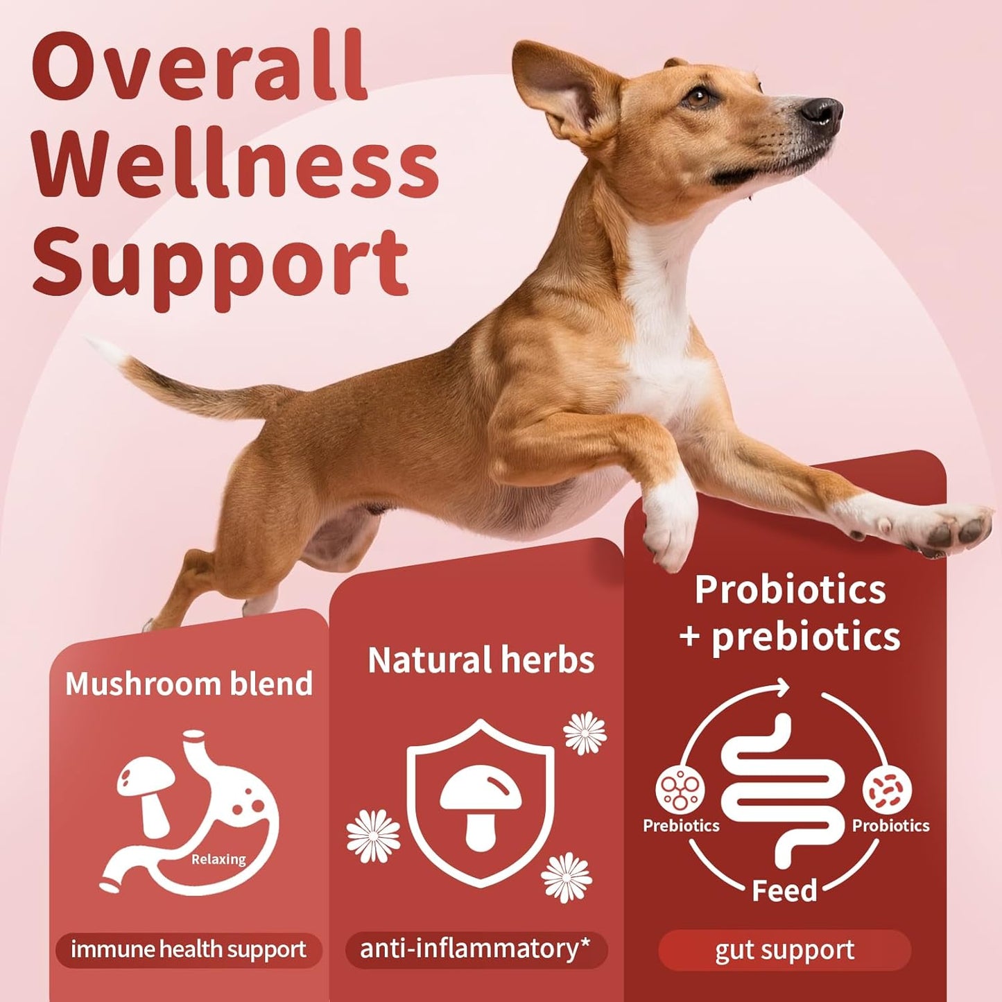 Dog Allergy Chews, Probiotics for Dog Allergy Relief - Itchy Skin and Itchy Ears - Allergy Paw Relief - Seasonal Allergies & Immune Gut Health & Joint, Energy Support, Bacon Flavor - 90 Count