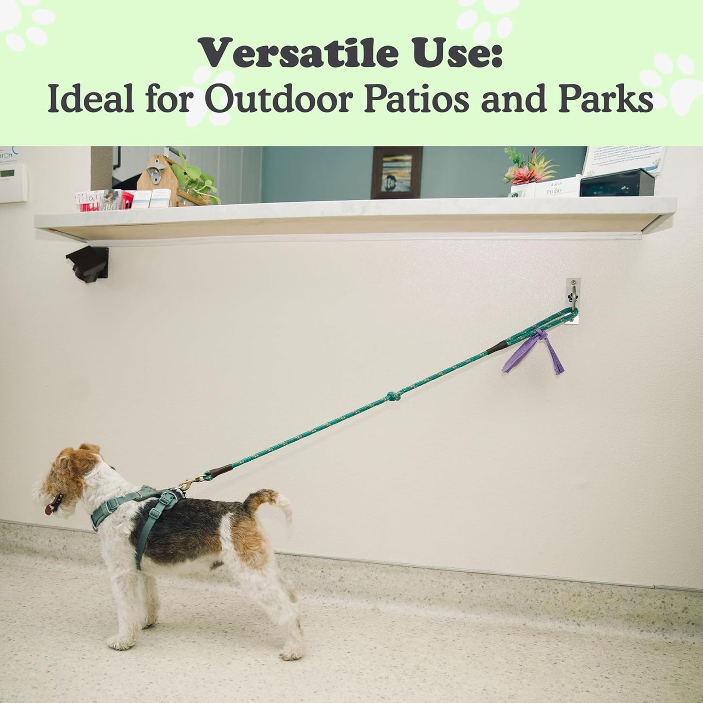 Canine Hitch- Secure Dog Leash Parking Wall Slim Hook with Clip 2 Pack - Tie Out Stainless Steel & ABS Mounting Plate for Strength - Practical Lead Management for Home & Business