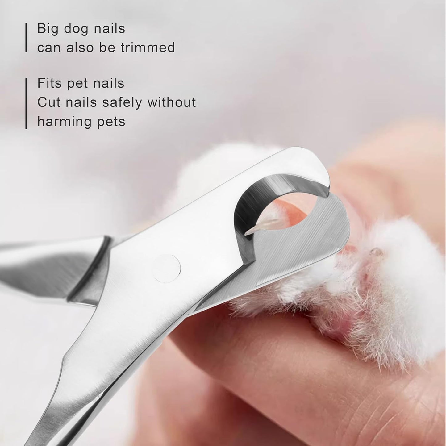 Cat Nail Clippers by,Small Breed Animals Claw Trimmer for a Cat, Puppy,Rabbit, Hamster, Birds, Kitten & Small Dog,Parrots, Chinchillas, Guinea Pigs,Sharp & Safe