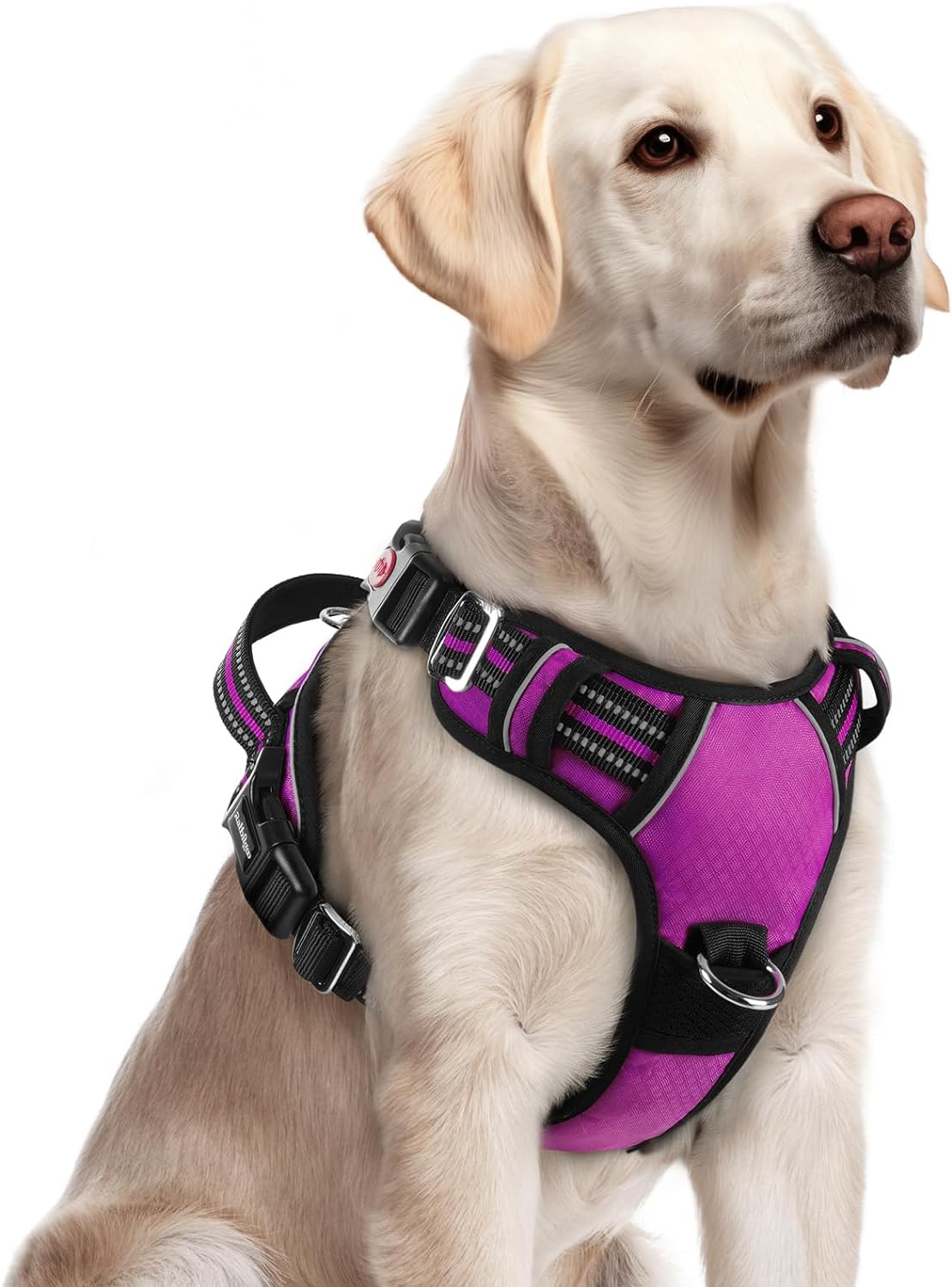 rabbitgoo Dog Harness for Large Dogs, No Pull Pet Vest with 3 Buckles, Adjustable Soft Padded Pet Harness with Easy Control Handle and Reflective Strips, Purple, L